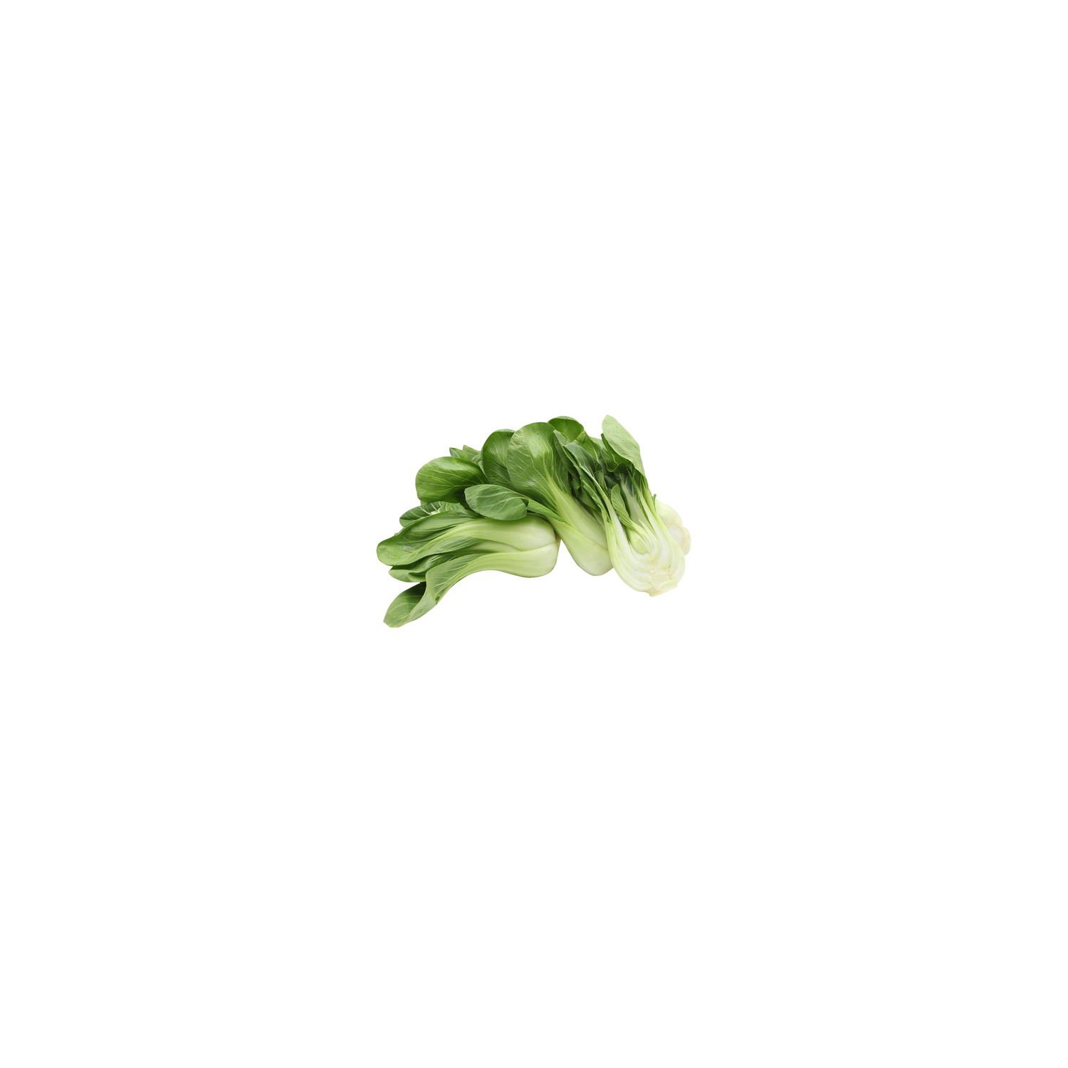  Baby Bok Choy - Avg 0.75 Lb