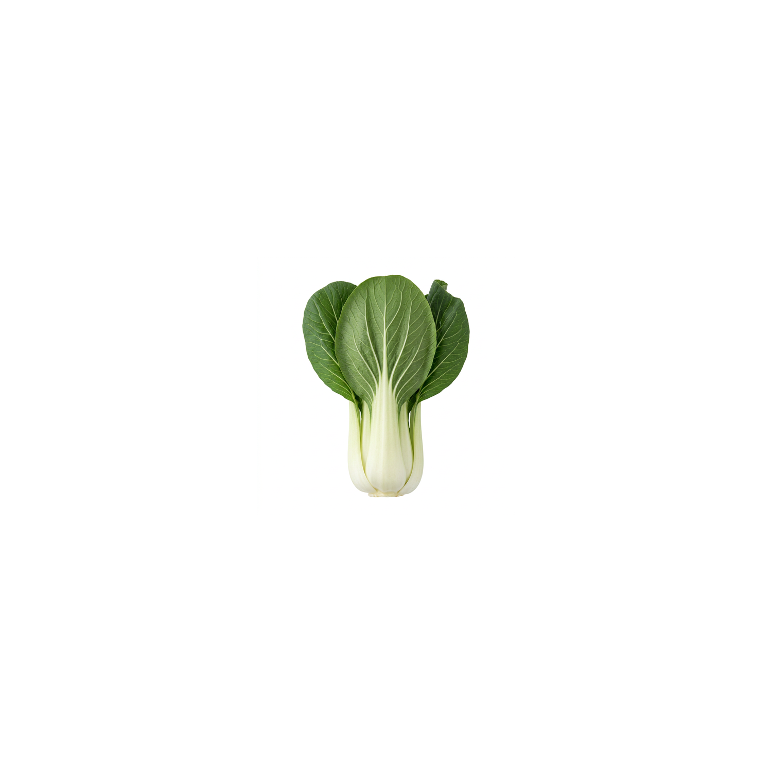  Bok Choy - Avg 0.77 Lb