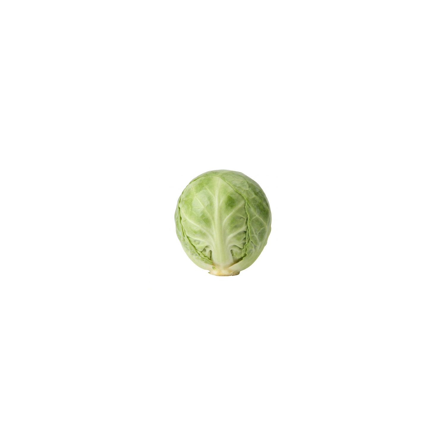  Brussel Sprouts - Avg 0.10 Lb