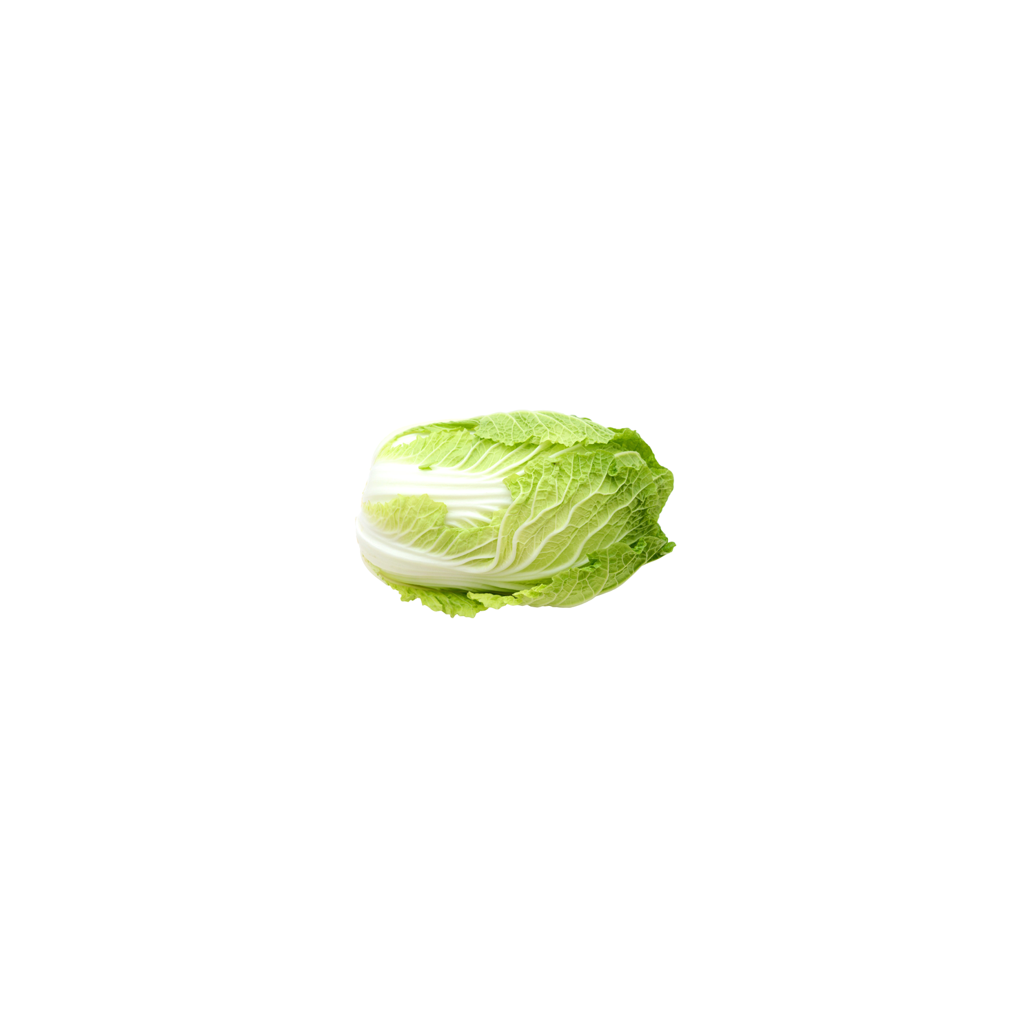  Napa Cabbage - Avg 2.50 Lbs
