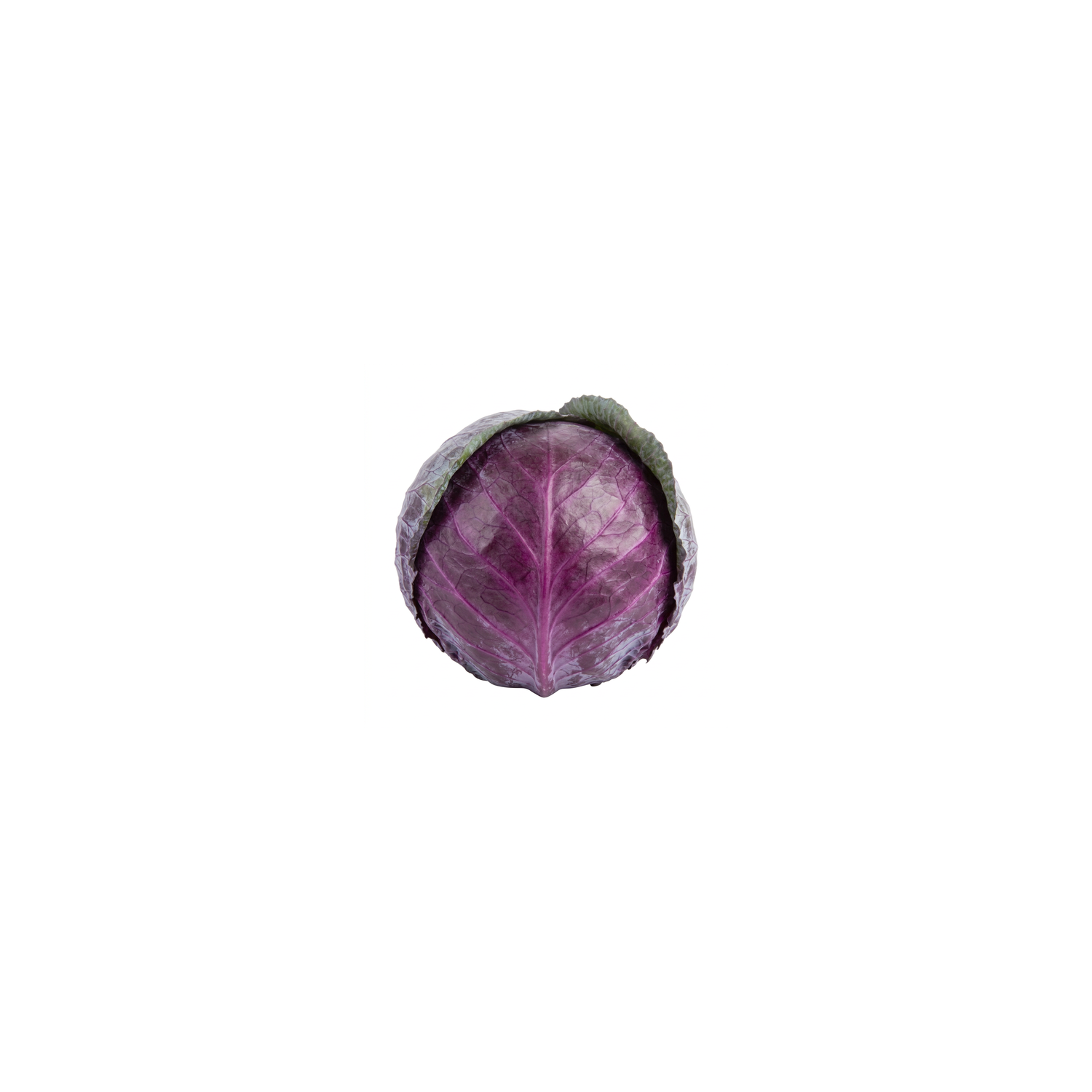  Red Cabbage - Avg 2.50 Lbs