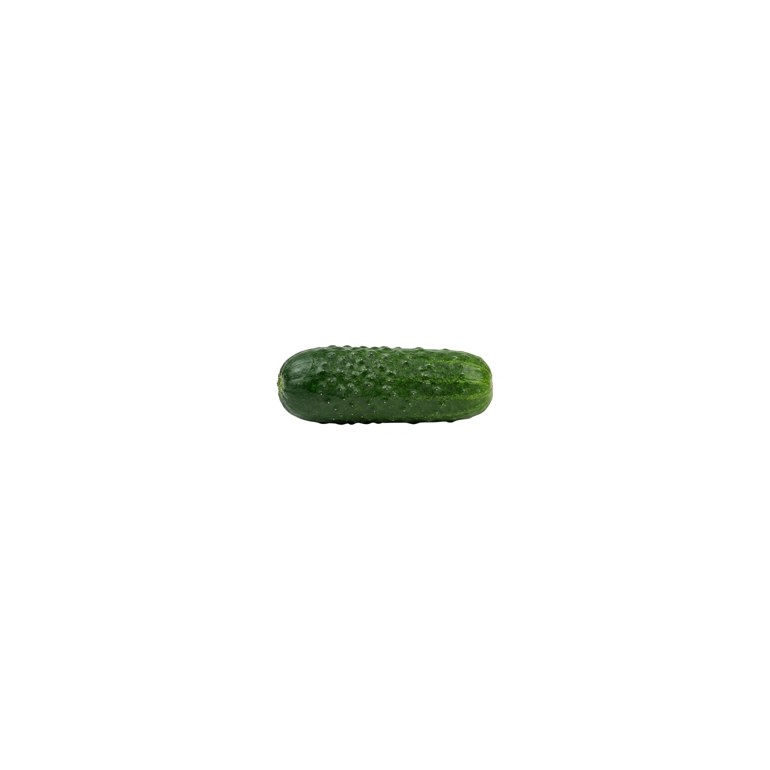 Pickling Cucumber - Avg 1.37 Lbs