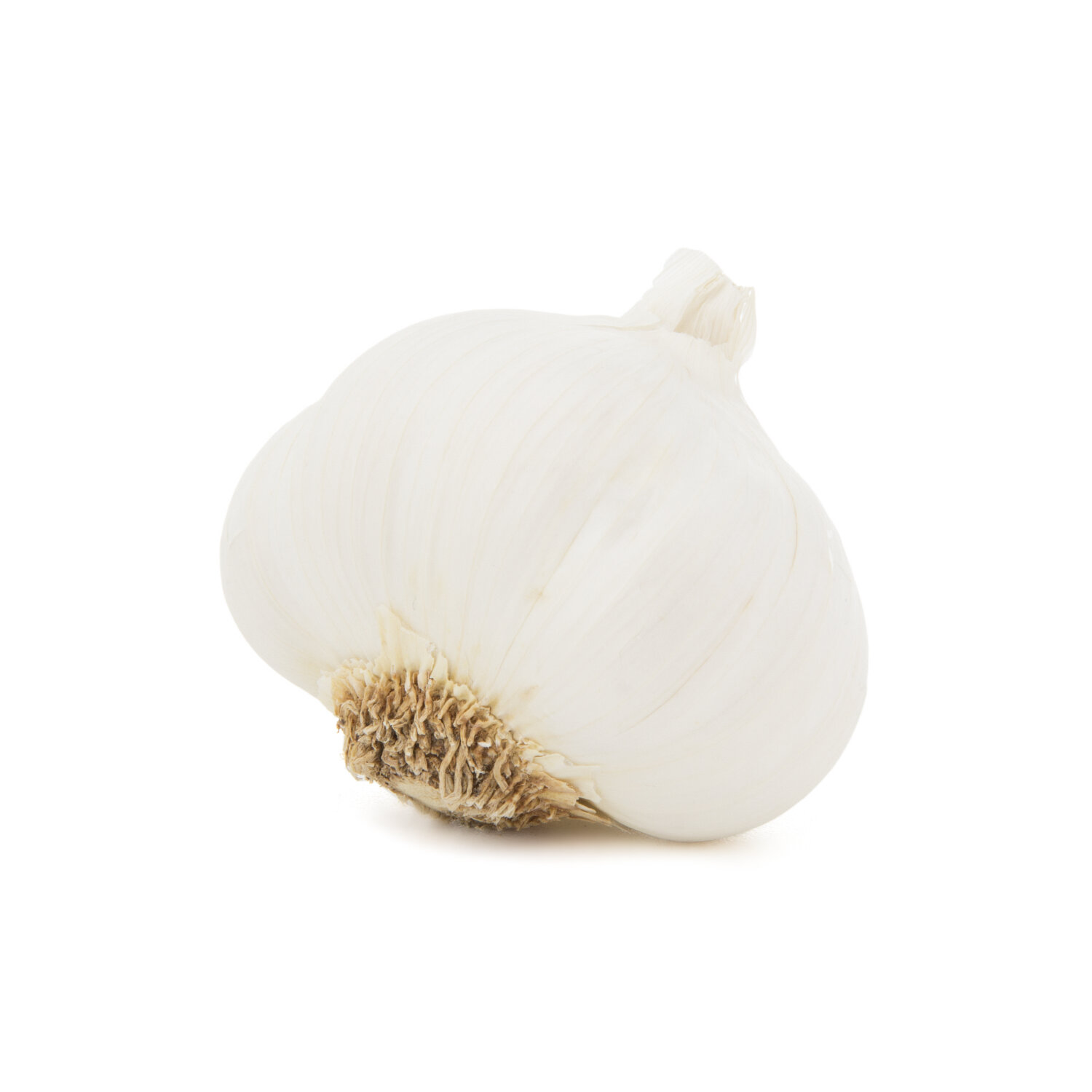  Colossal Garlic - 1 Each