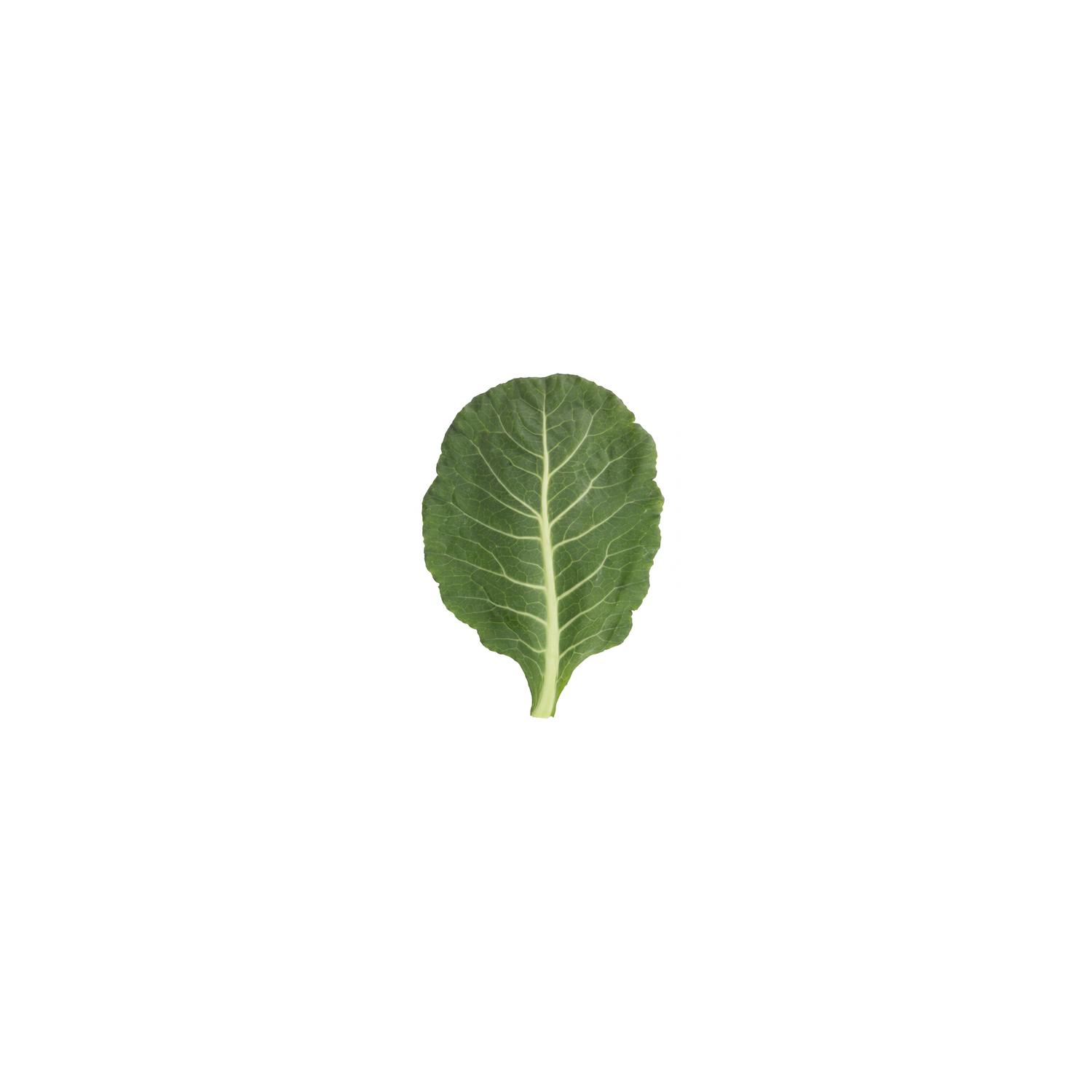  Collard Greens - 1 Each