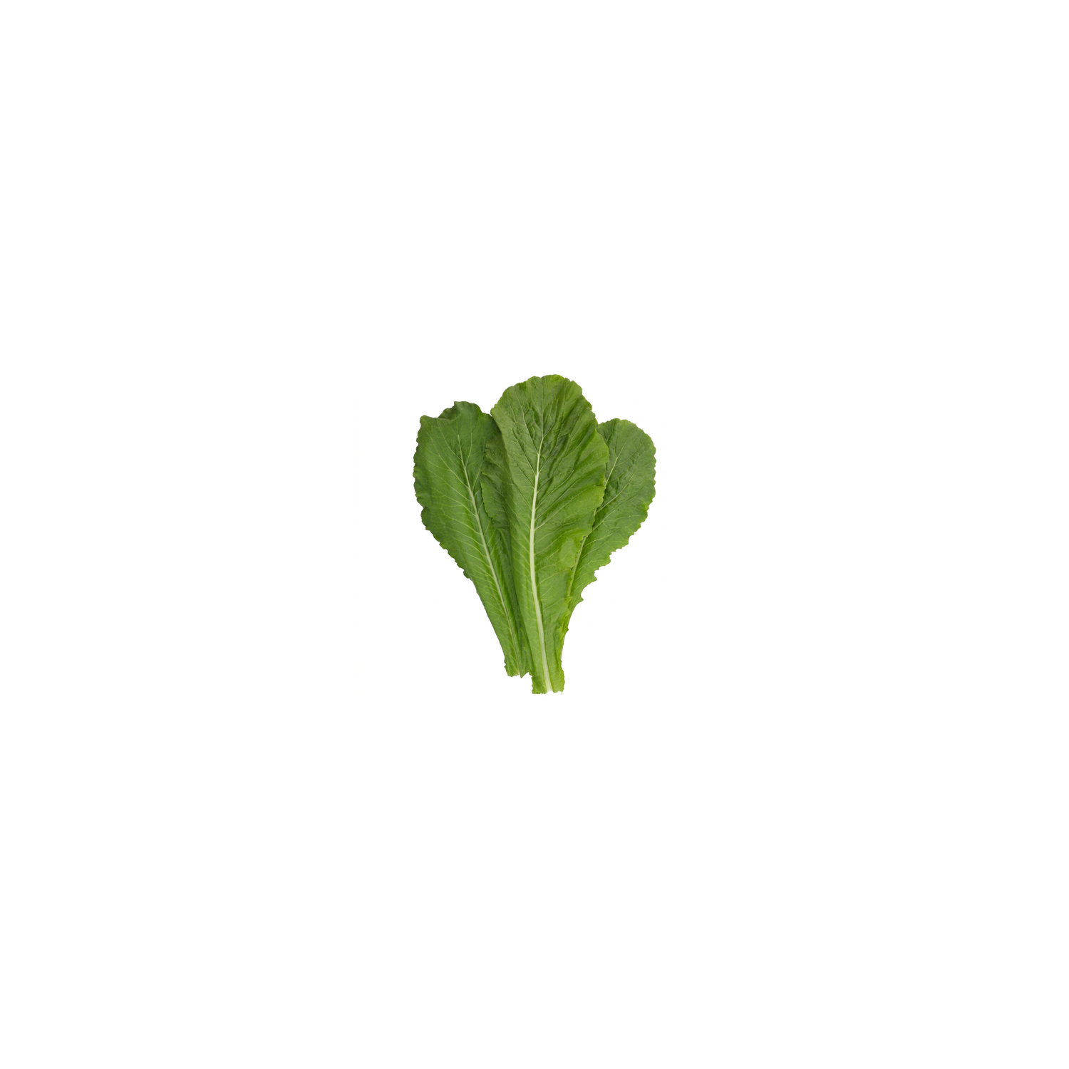  Turnip Greens - 1 Each
