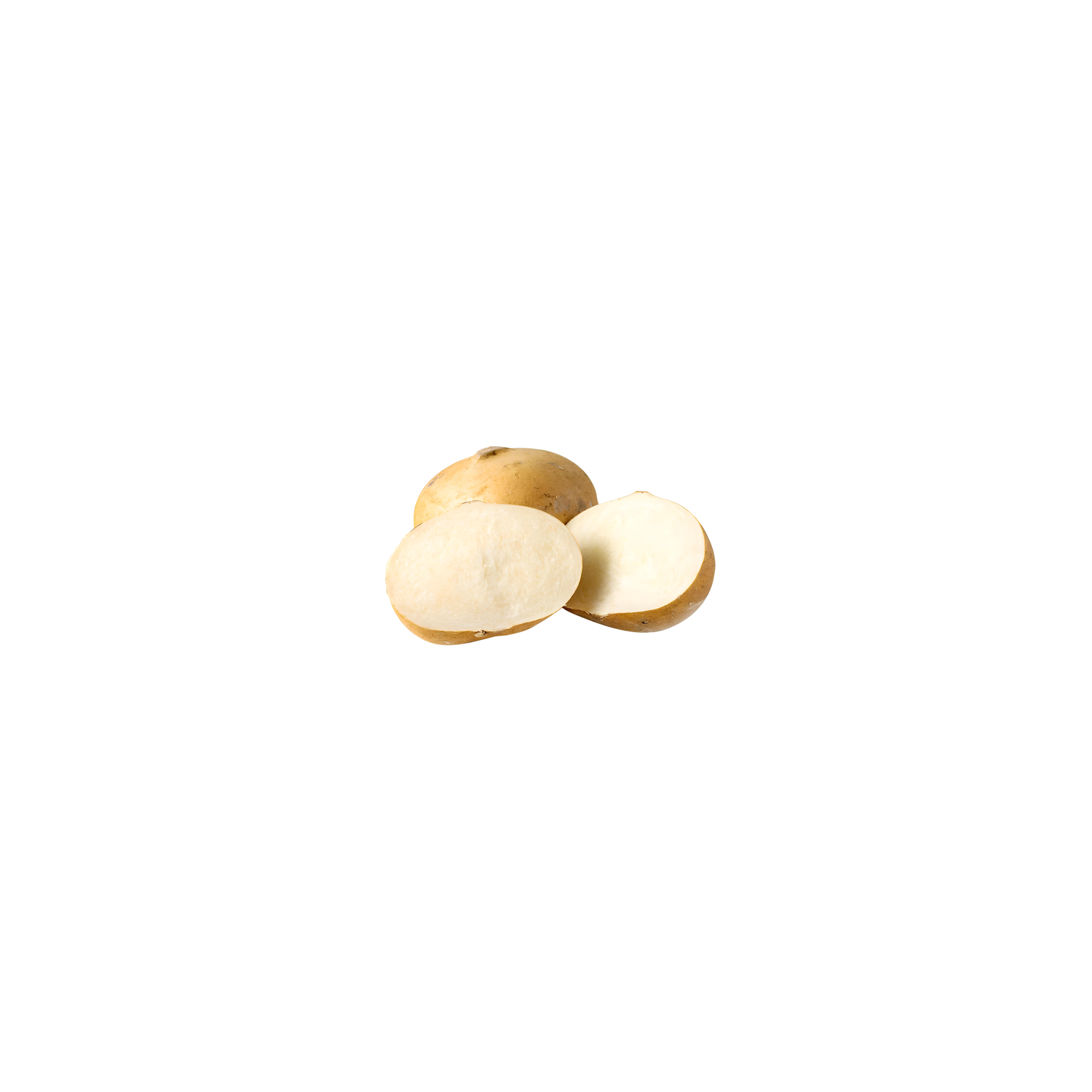  Jicama - Avg 1.50 Lbs