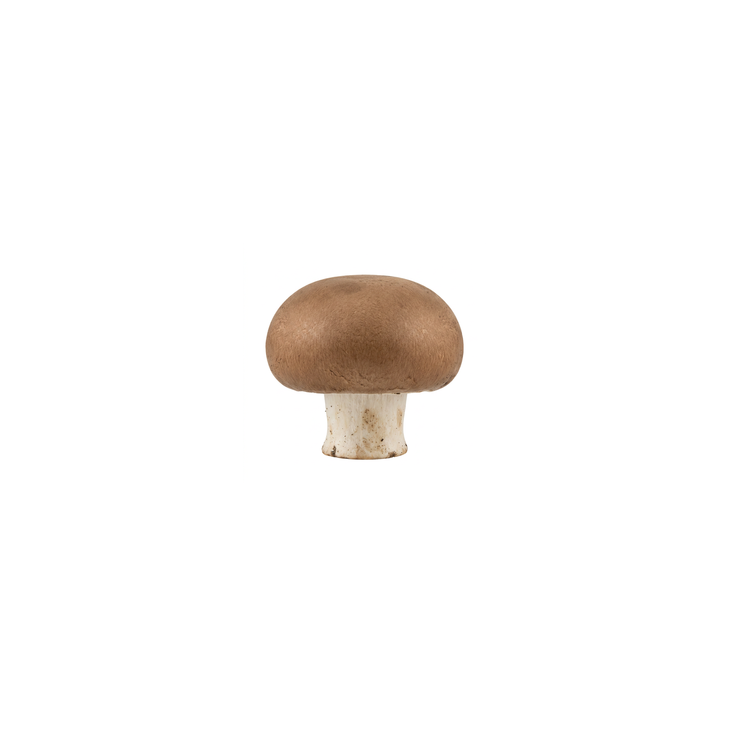  Crimini Mushrooms - Avg 0.34 Lb