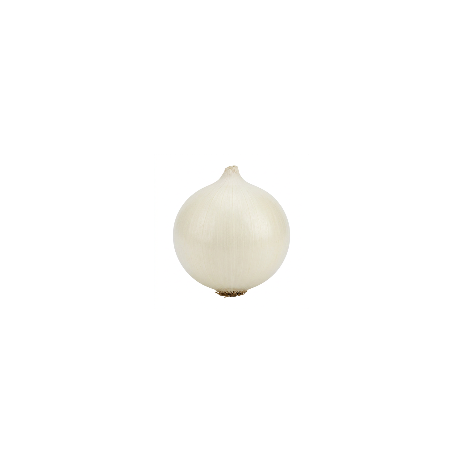  White Onion - Avg 0.80 Lb