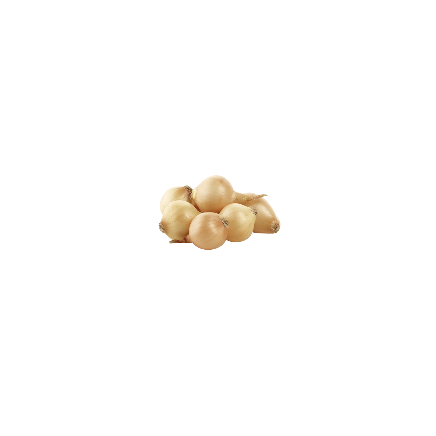  Gold Pearl Onion - Avg 0.19 Lb