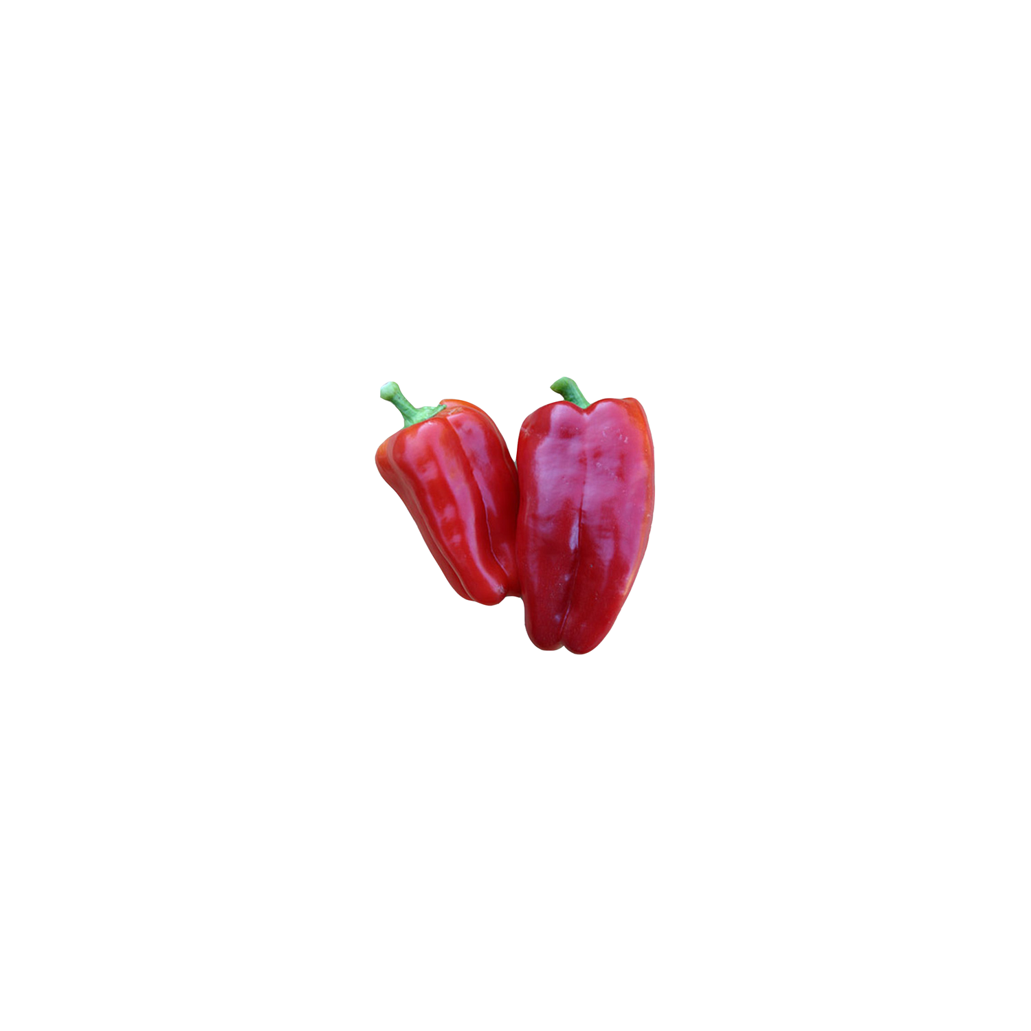  Long Red Chile Pepper - Avg 0.15 Lb