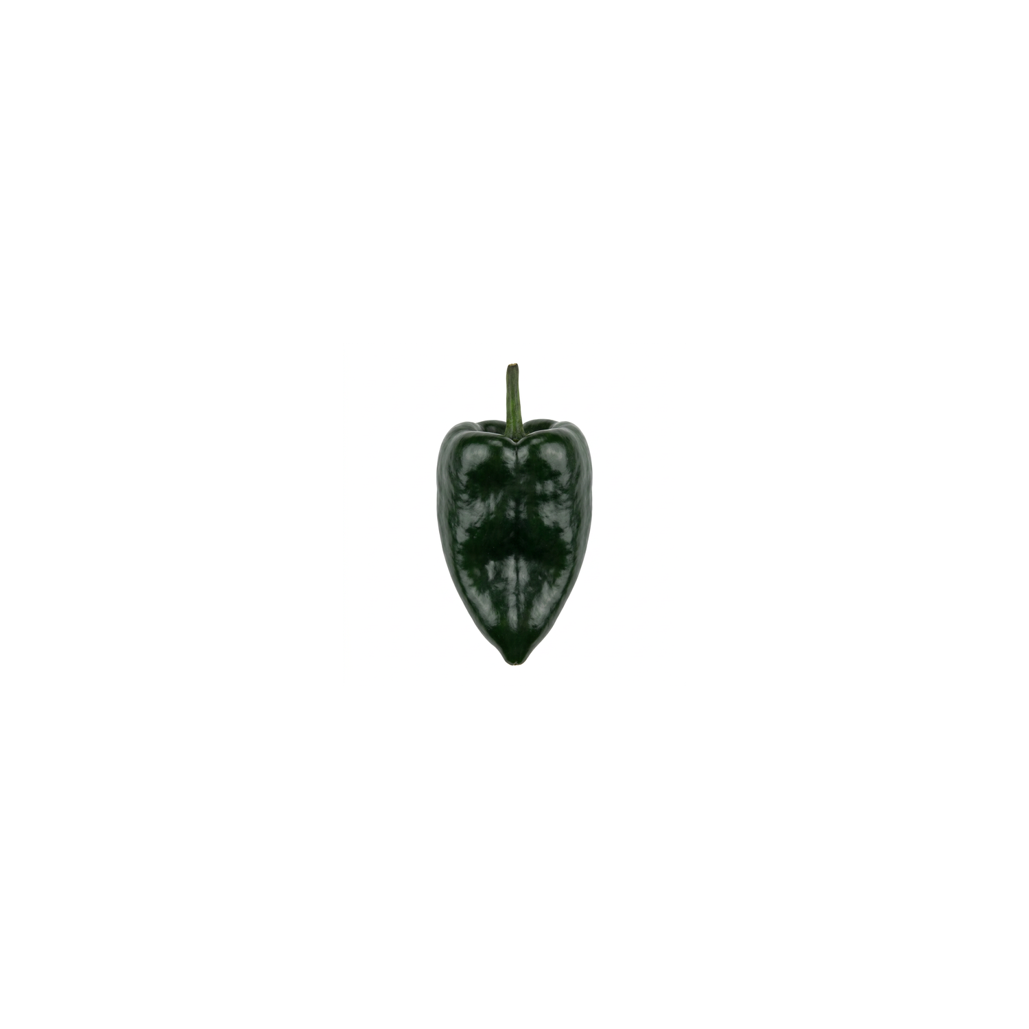  Poblano Pepper - Avg 0.25 Lb
