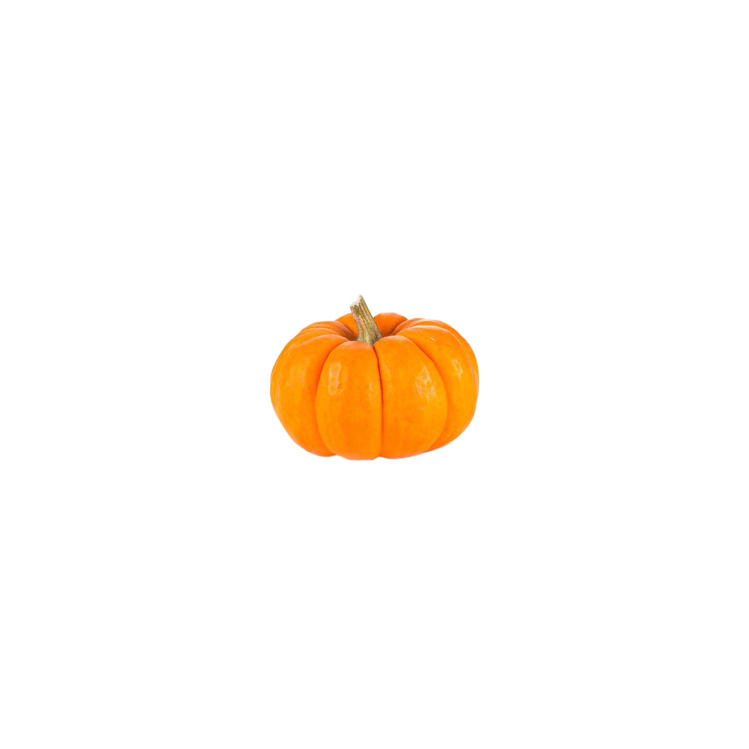 Mini Pumpkin - 1 Each