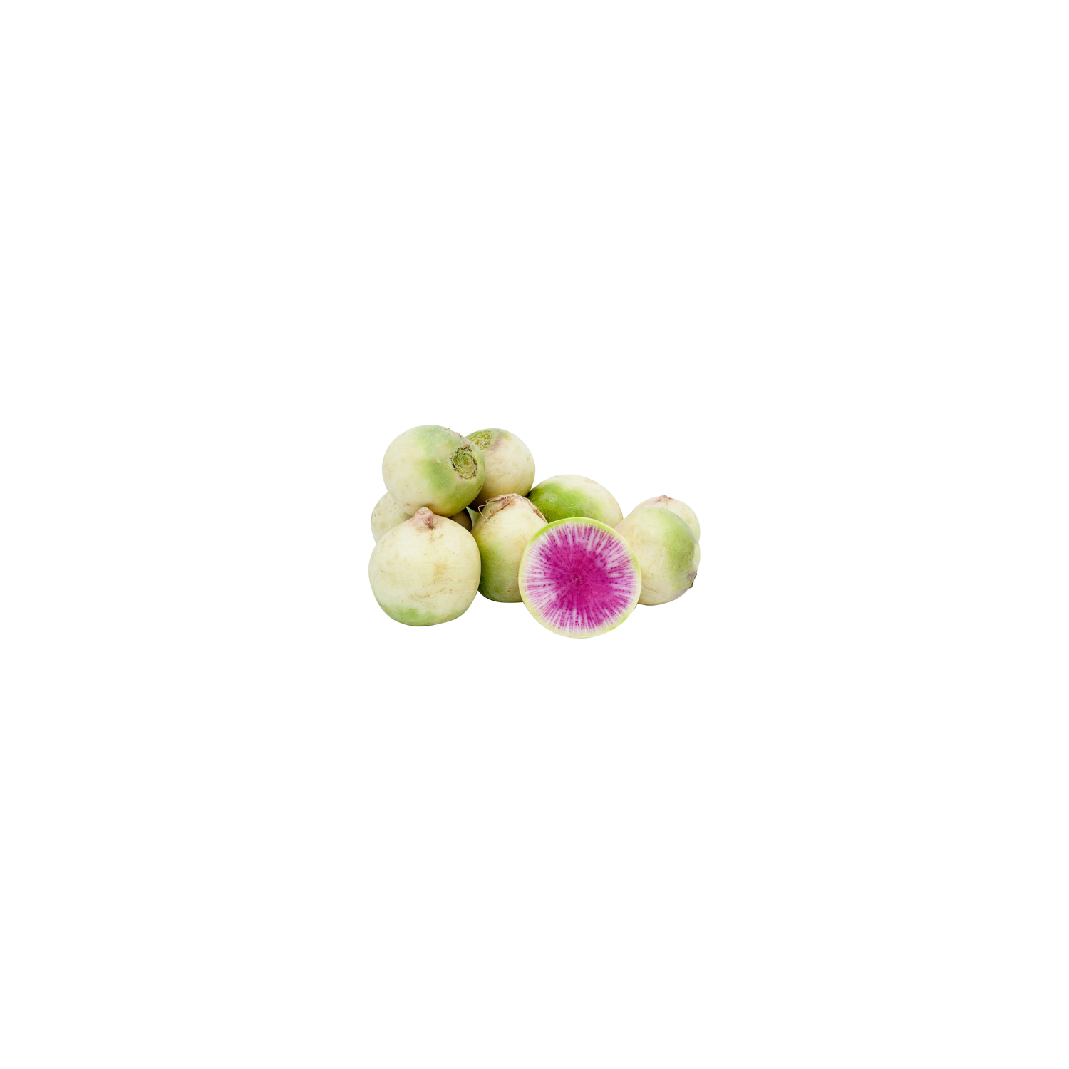  Watermelon Radish - Avg 0.73 Lb