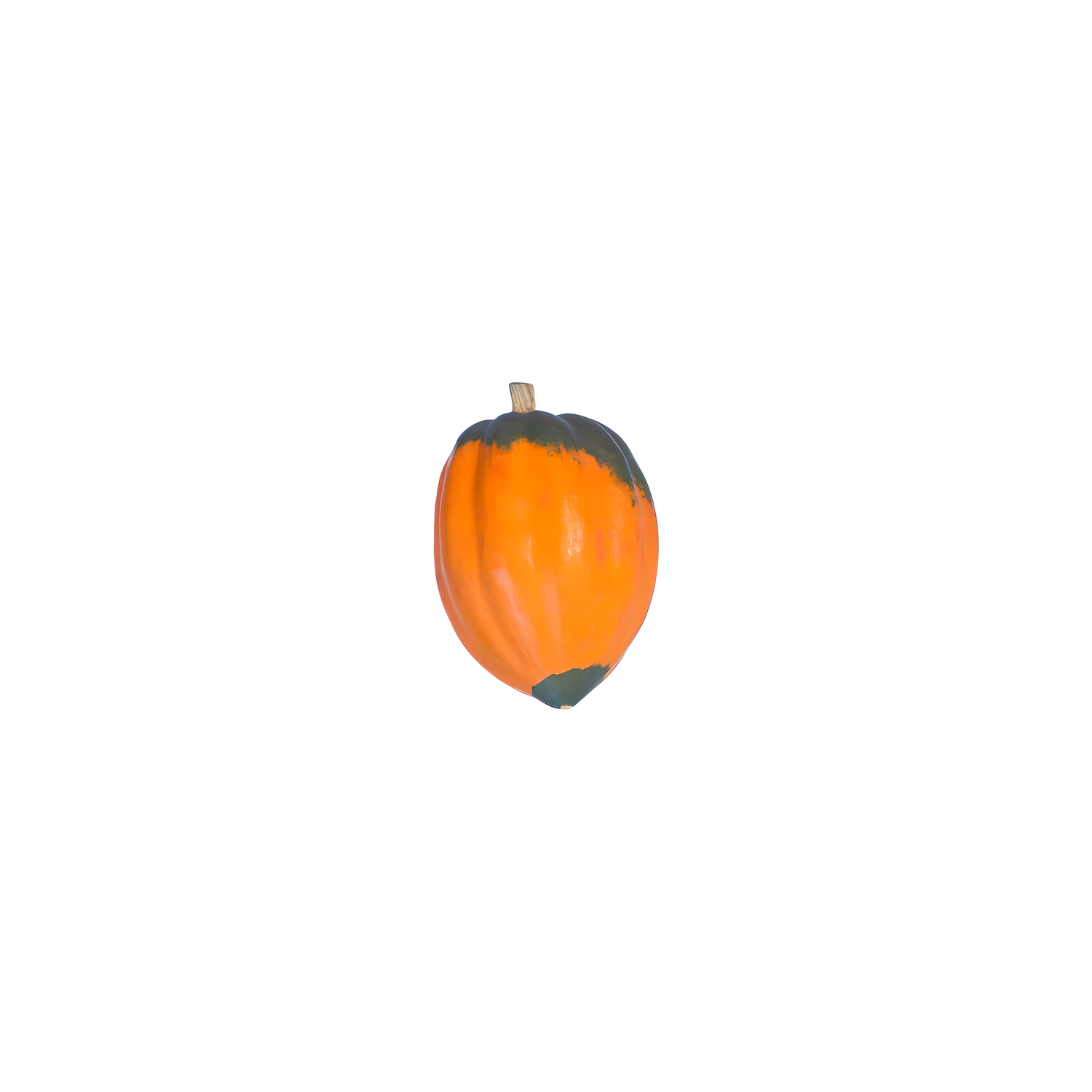  Acorn Squash - Avg 2.25 Lbs