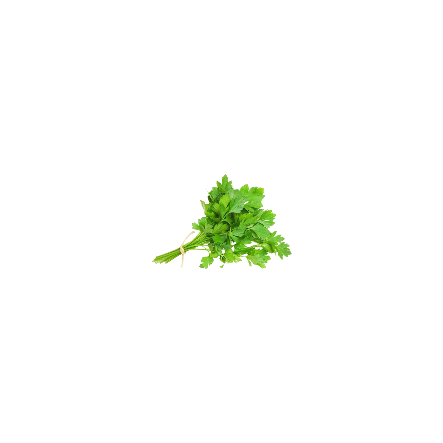  Italian Parsley - 1 Each