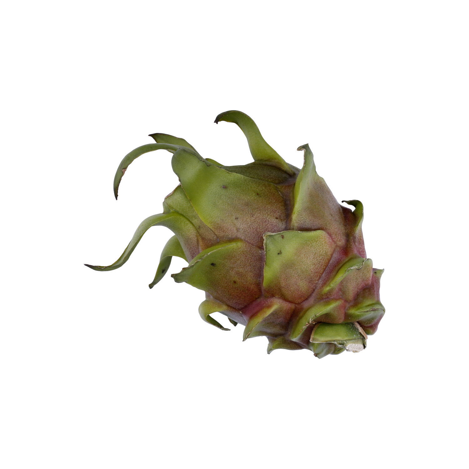  White Dragon Fruit - 1 Each Image 1 of 2