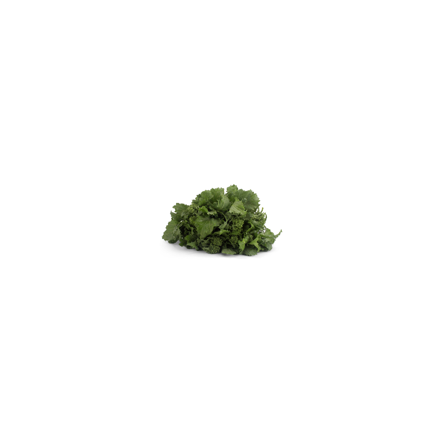 Produce Organic Baby Broccoli All Sizes - 1 Each