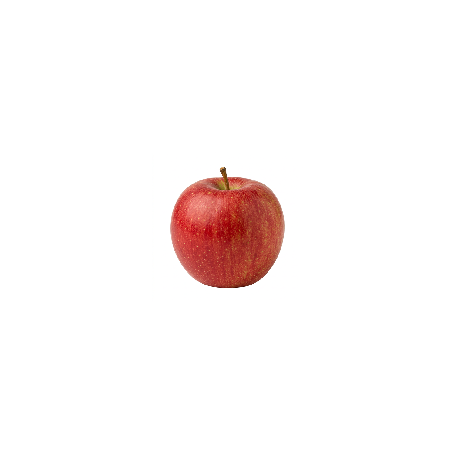 Organic Envy Apple - 1 Each