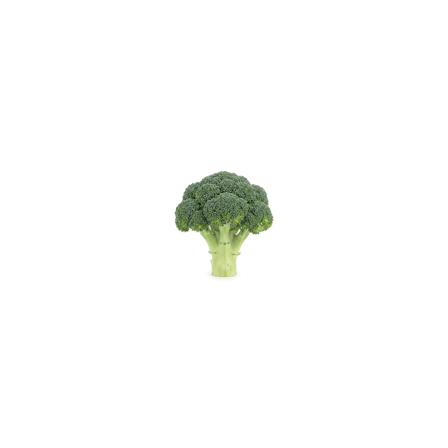 Produce Organic Broccoli All Sizes - 1 Each