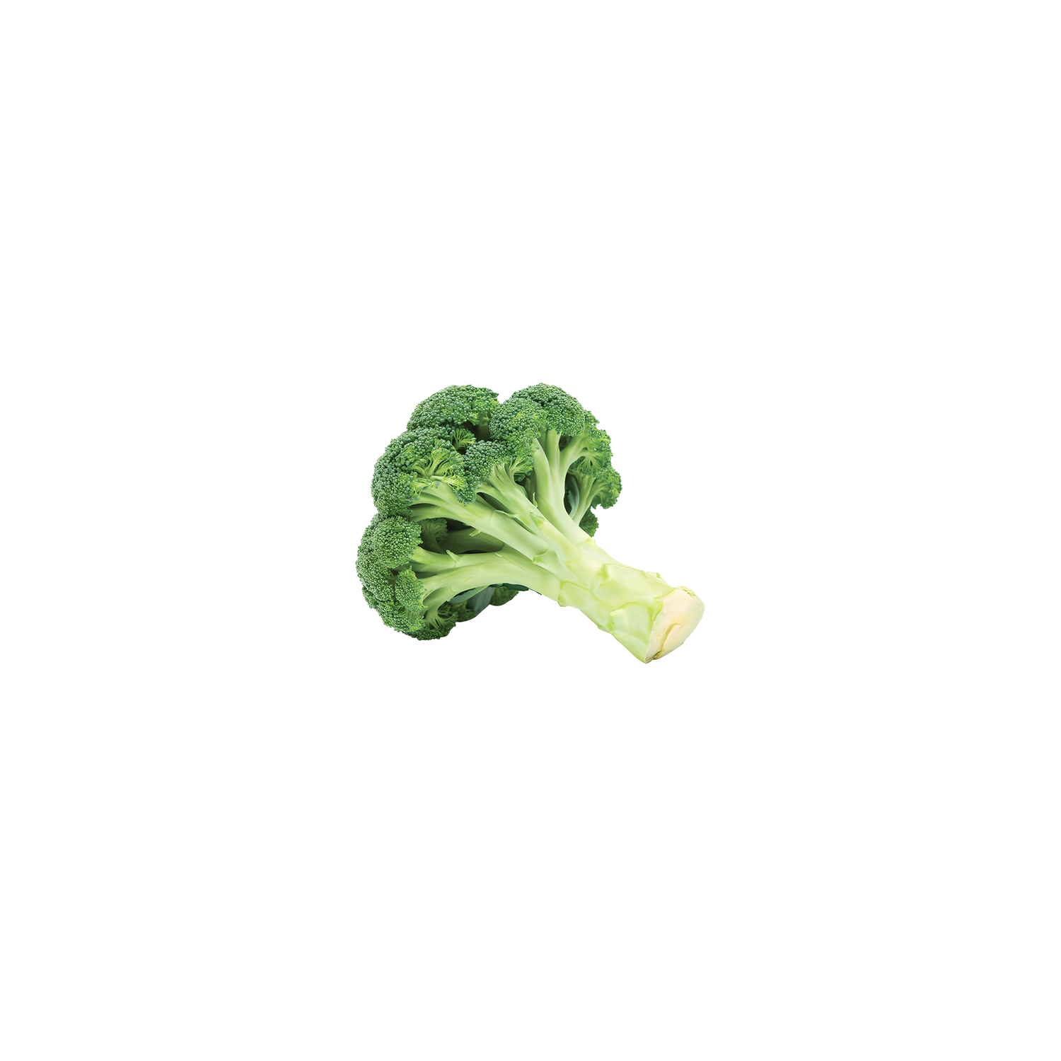 Organic Broccoli - 1 Each