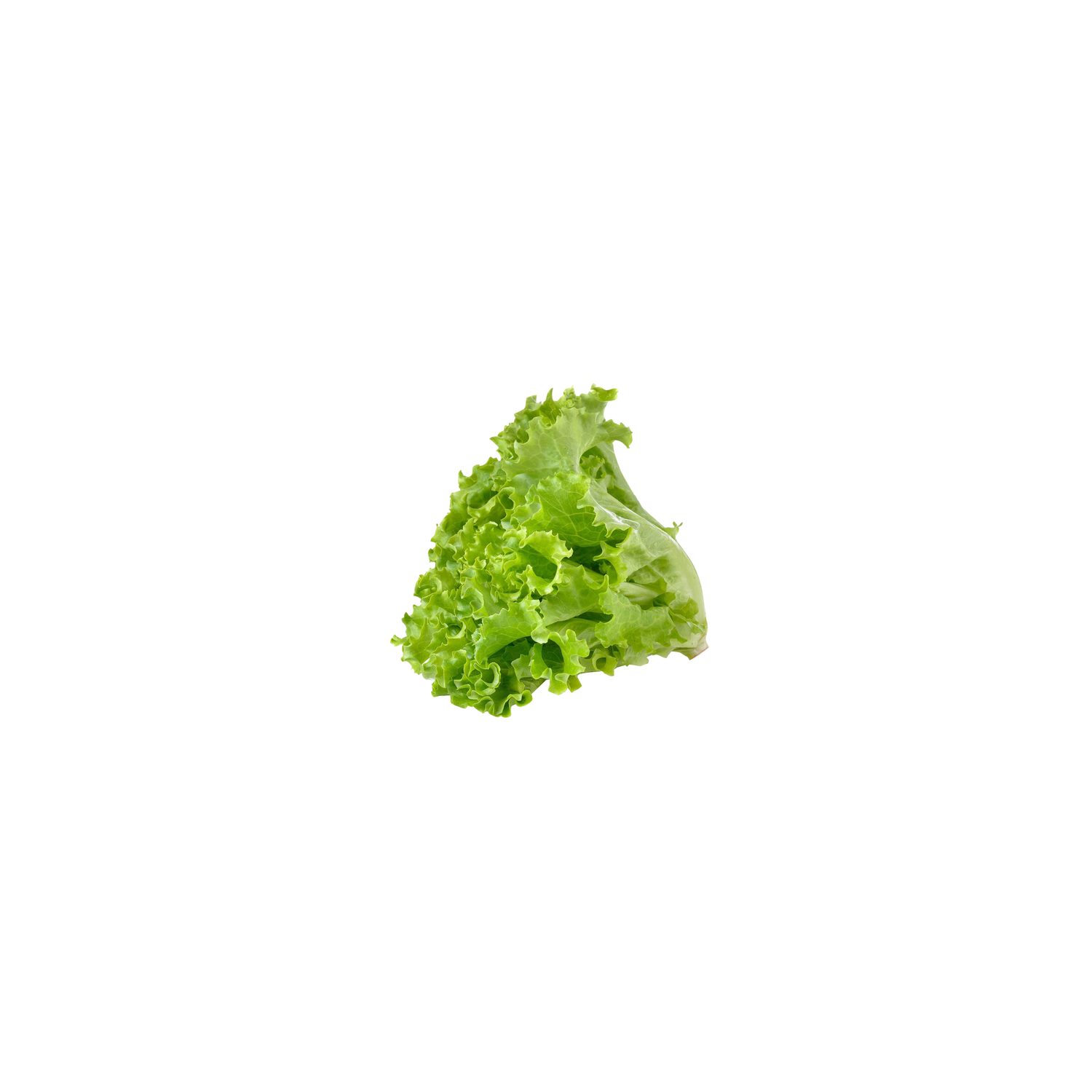 Organic Green Leaf Lettuce - 1 Each