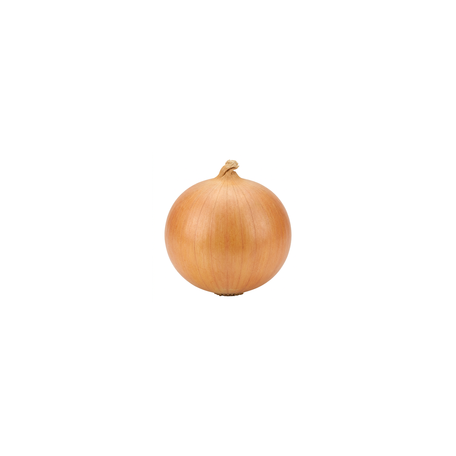  Organic Yellow Onion - Avg 0.70 Lb