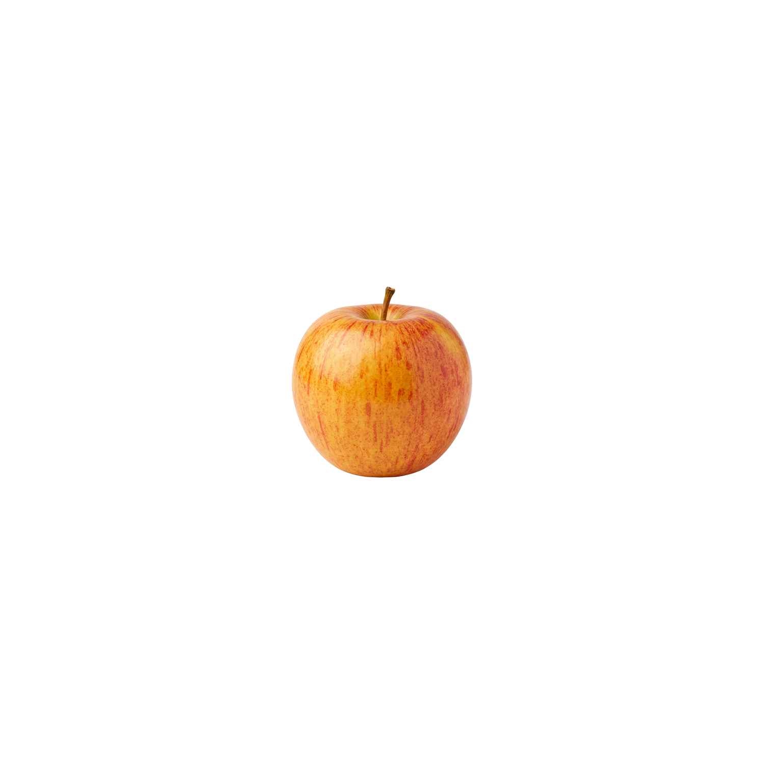  Organic Gala Apple - 1 Each