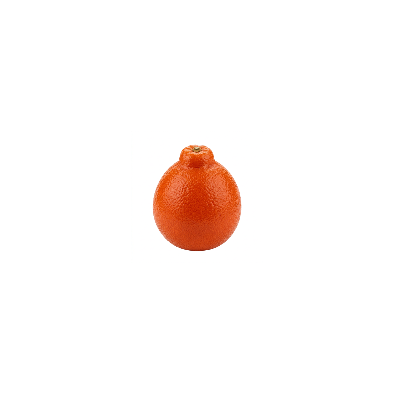  Organic Minneola Tangelo - Avg 0.40 Lb