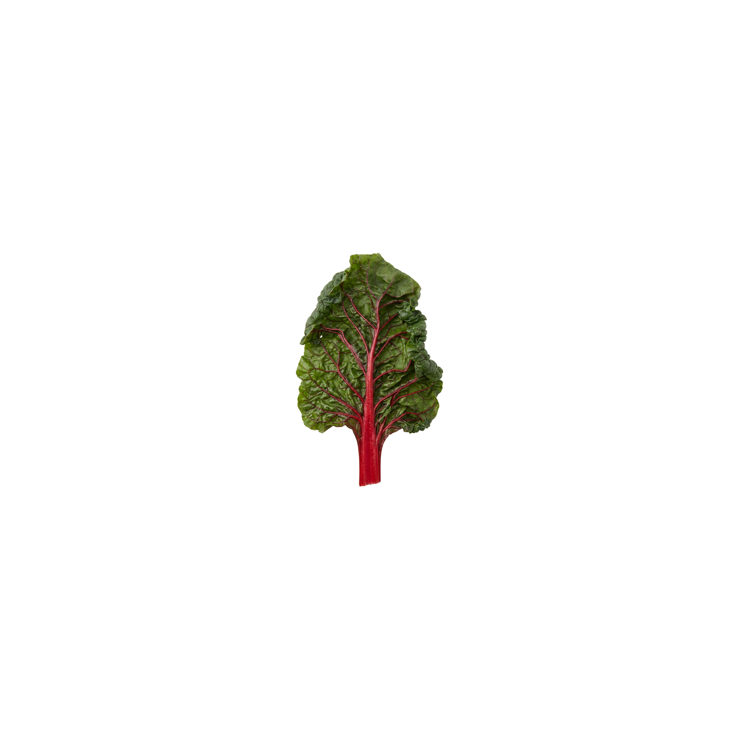  Organic Red Swiss Chard - 1 Each