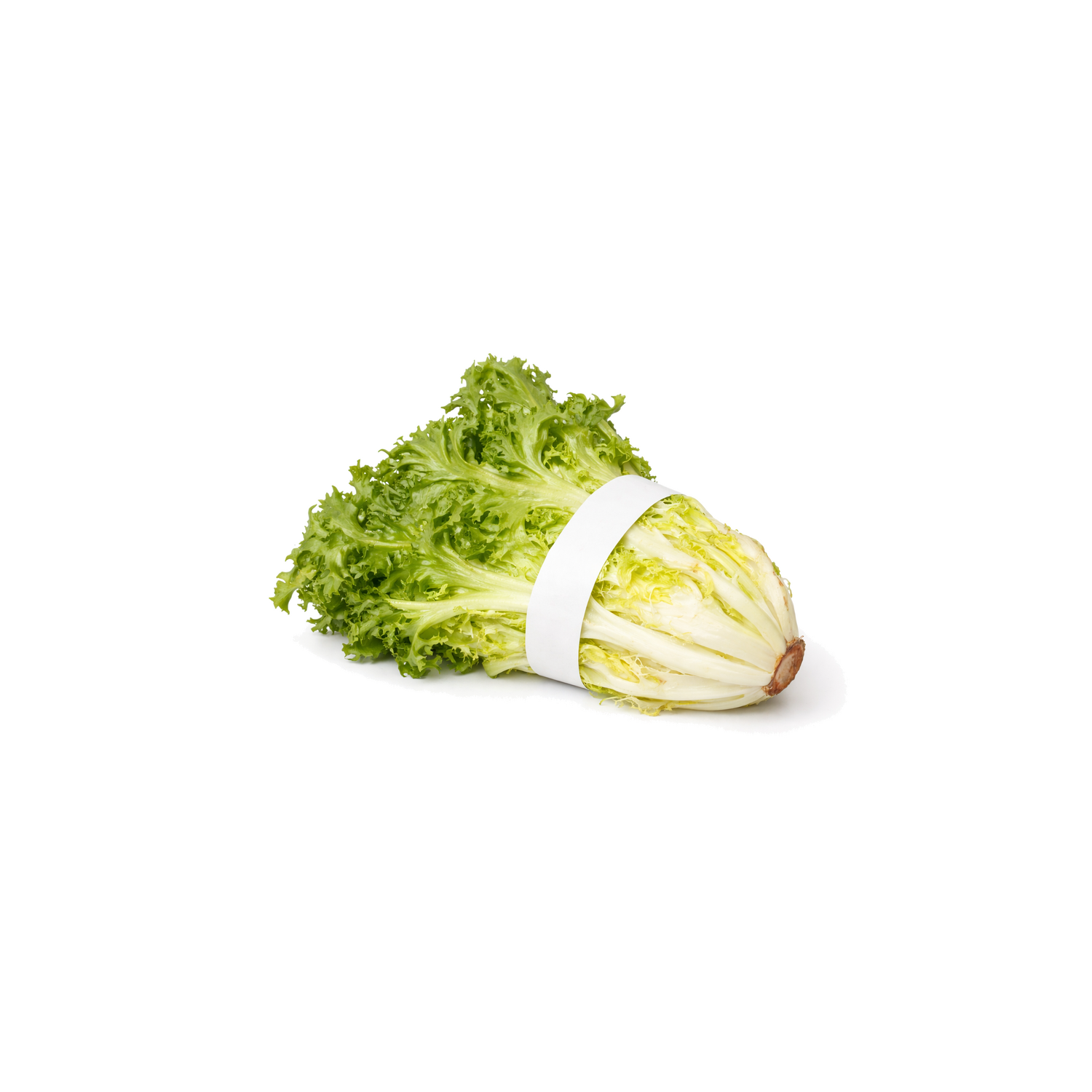 Organic Endive - 1 Each