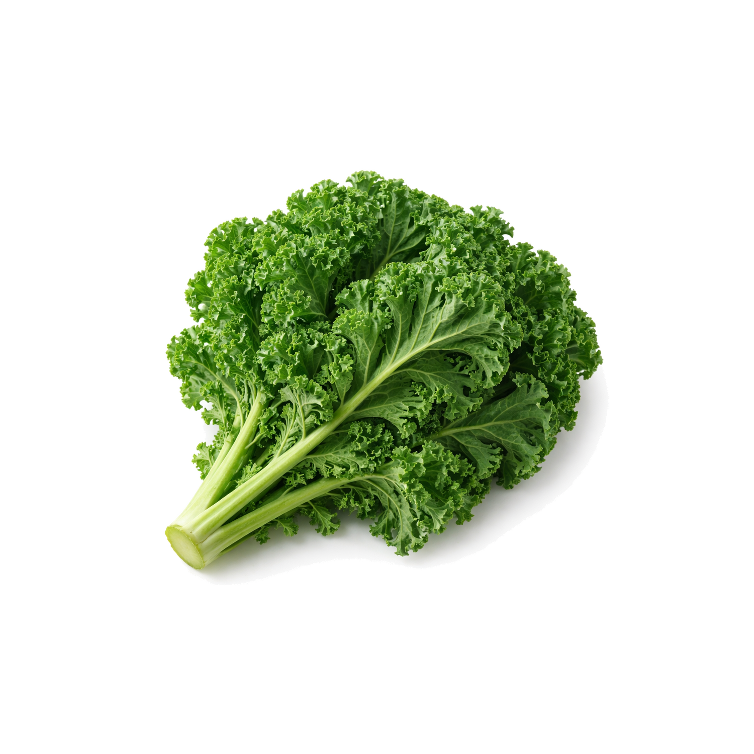 Organic Kale - 1 Each