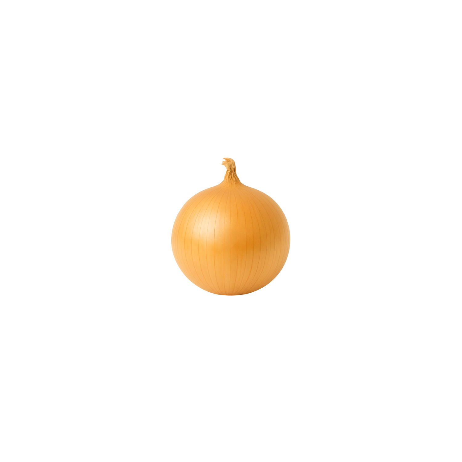  Organic Medium Yellow Onion - Avg 0.80 Lb