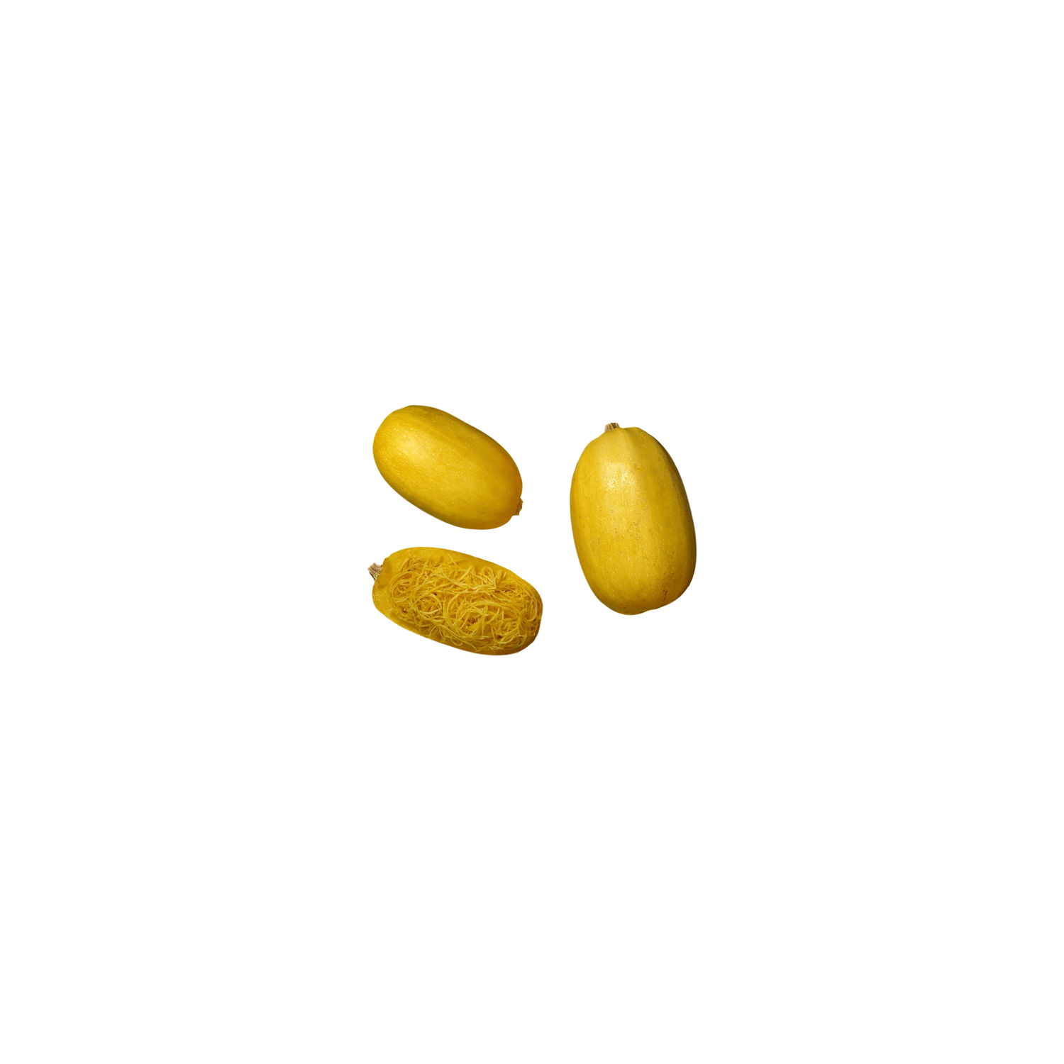 Organic Spaghetti Squash - Avg 3.20 Lbs