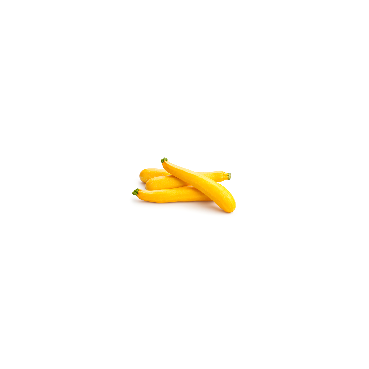 Organic Yellow Squash - Avg 1.11 Lbs