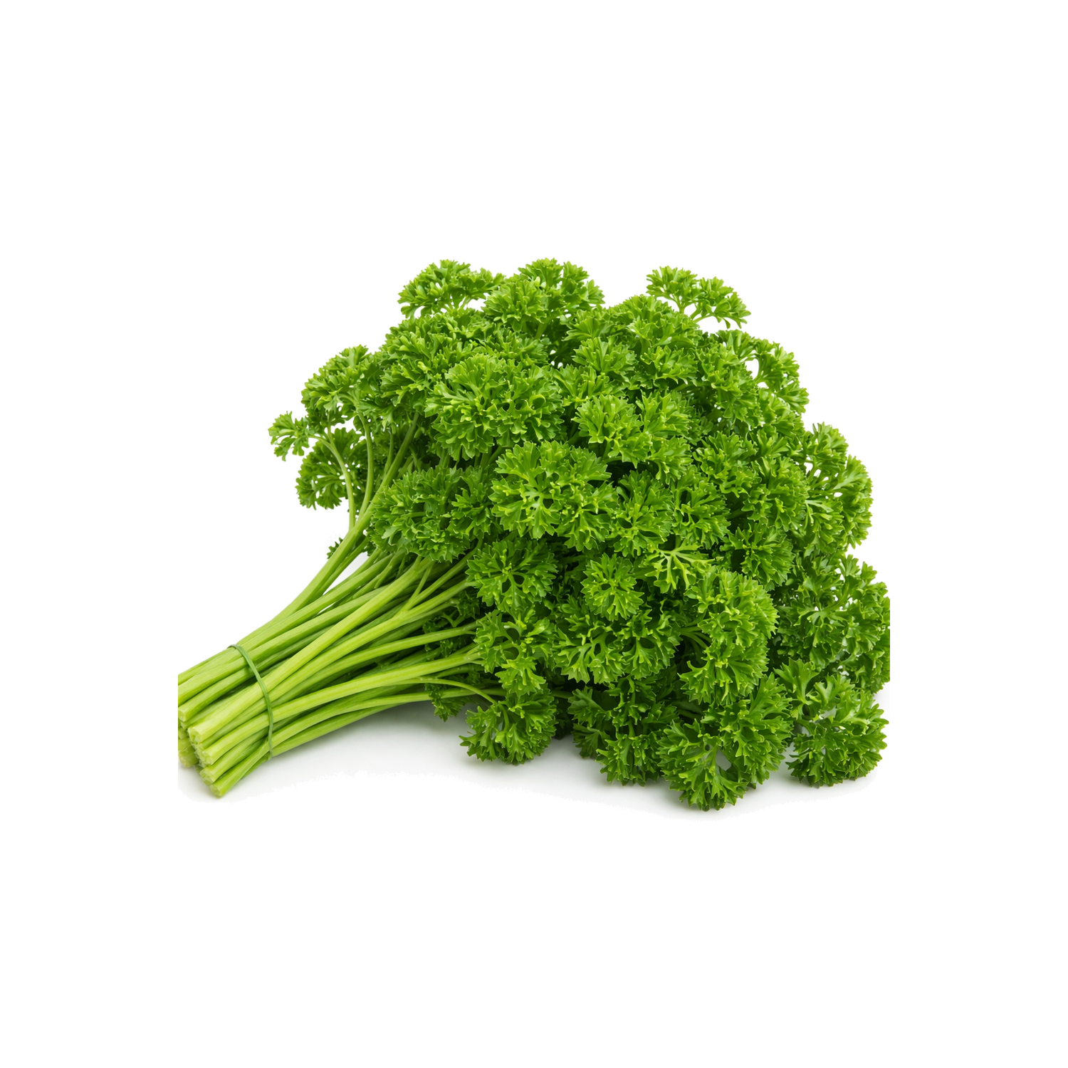  Organic Curly Parsley - 1 Each