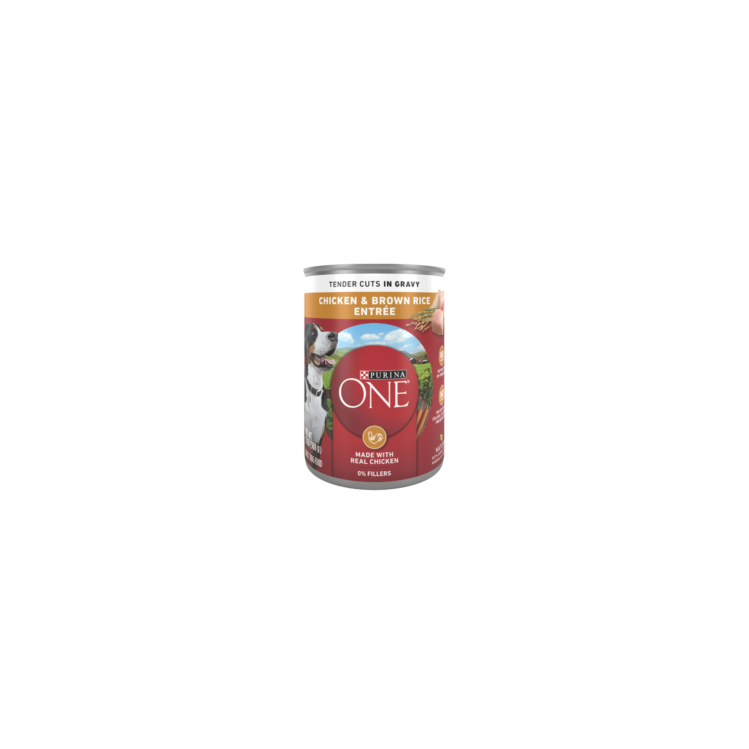 Purina ONE Tender Cuts In Wet Dog Food Gravy Chicken And Brown Rice Entree - 13 Ounce
