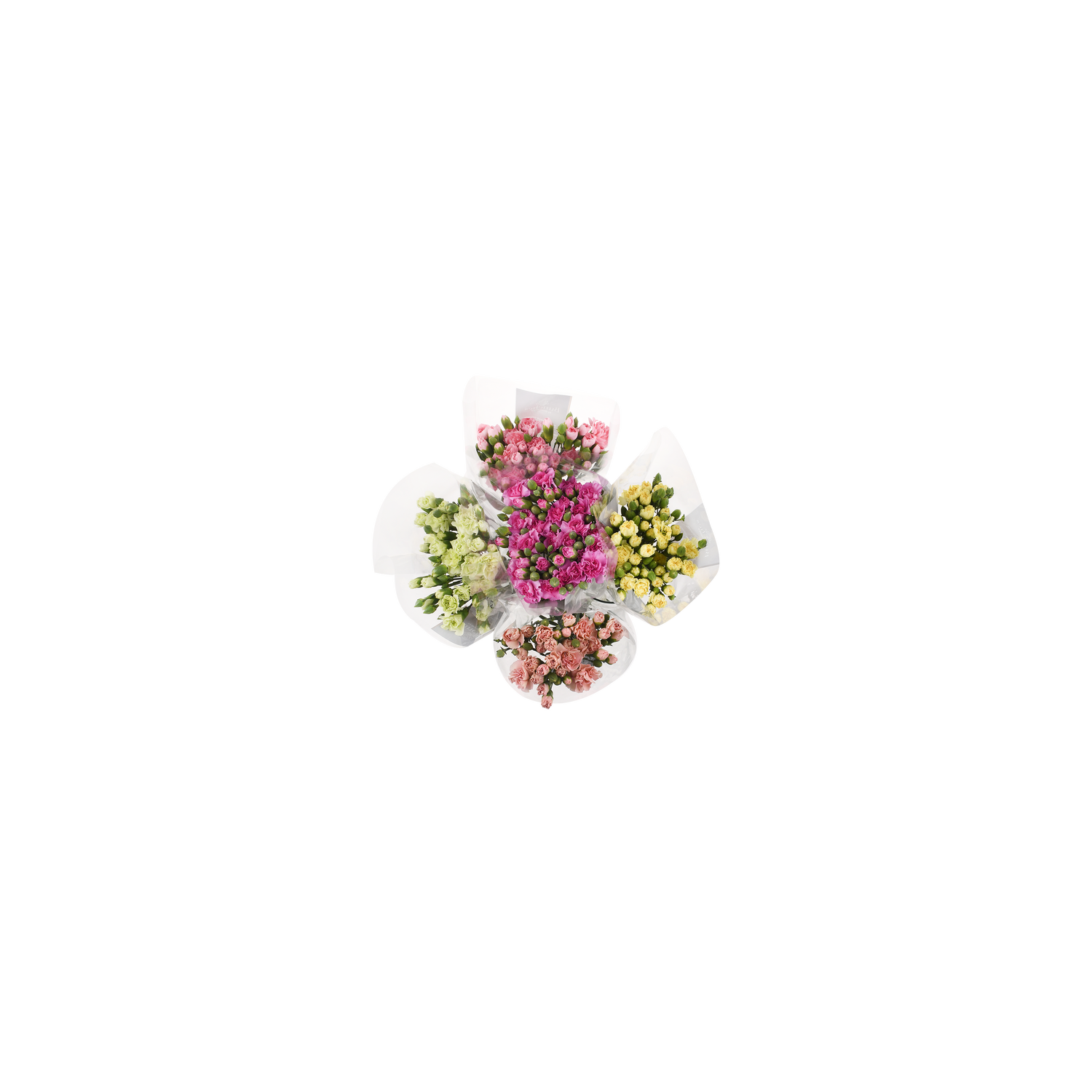 Mini Carnation - 1 Each