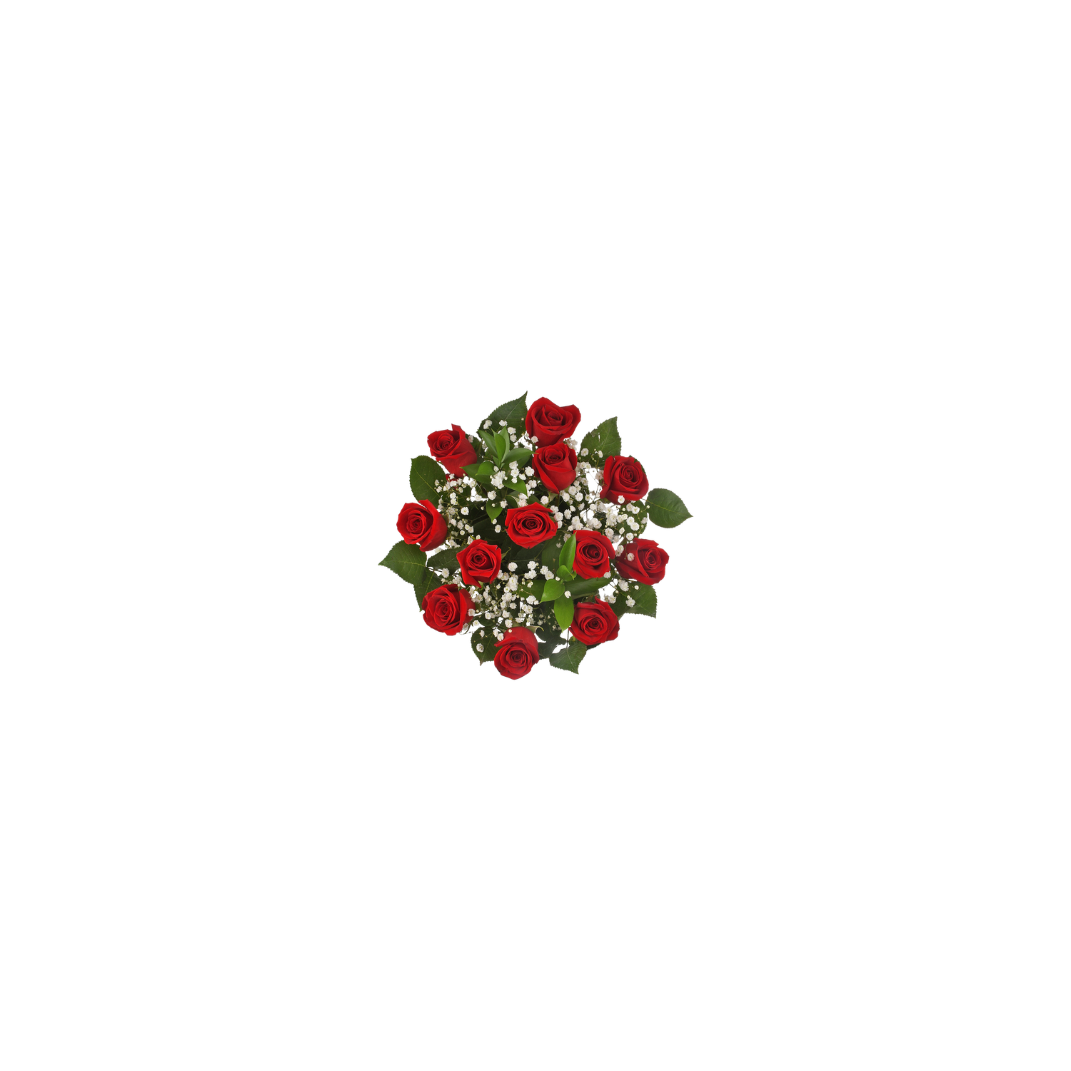Premium Dozen Rose Bouquet - 1 Each
