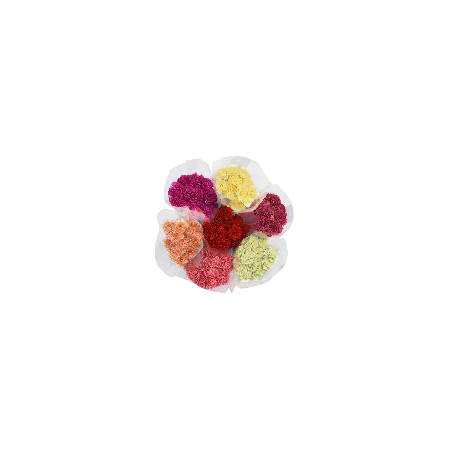 Carnation Box - 1 Each - Super 1 Foods