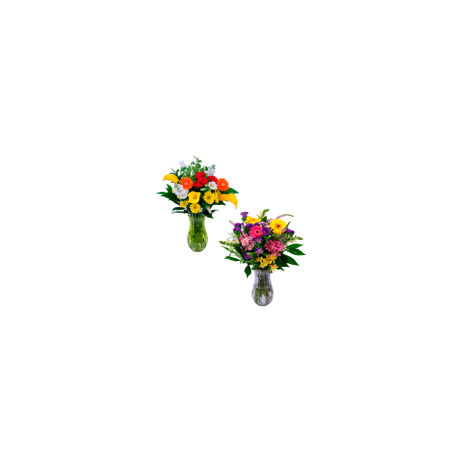 Supreme Arrangement - 1 Each