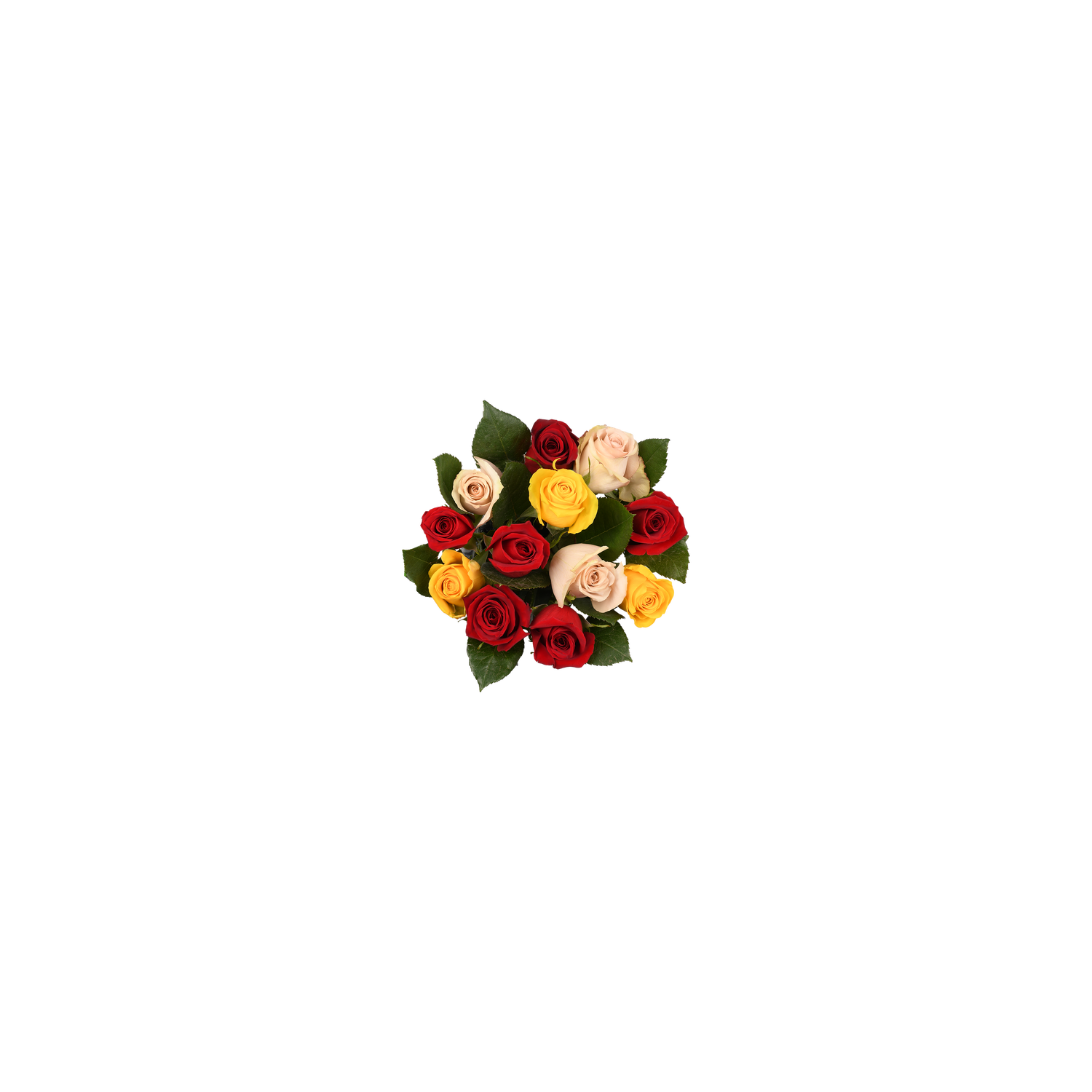 Dozen Rose Rainbow - 1 Each