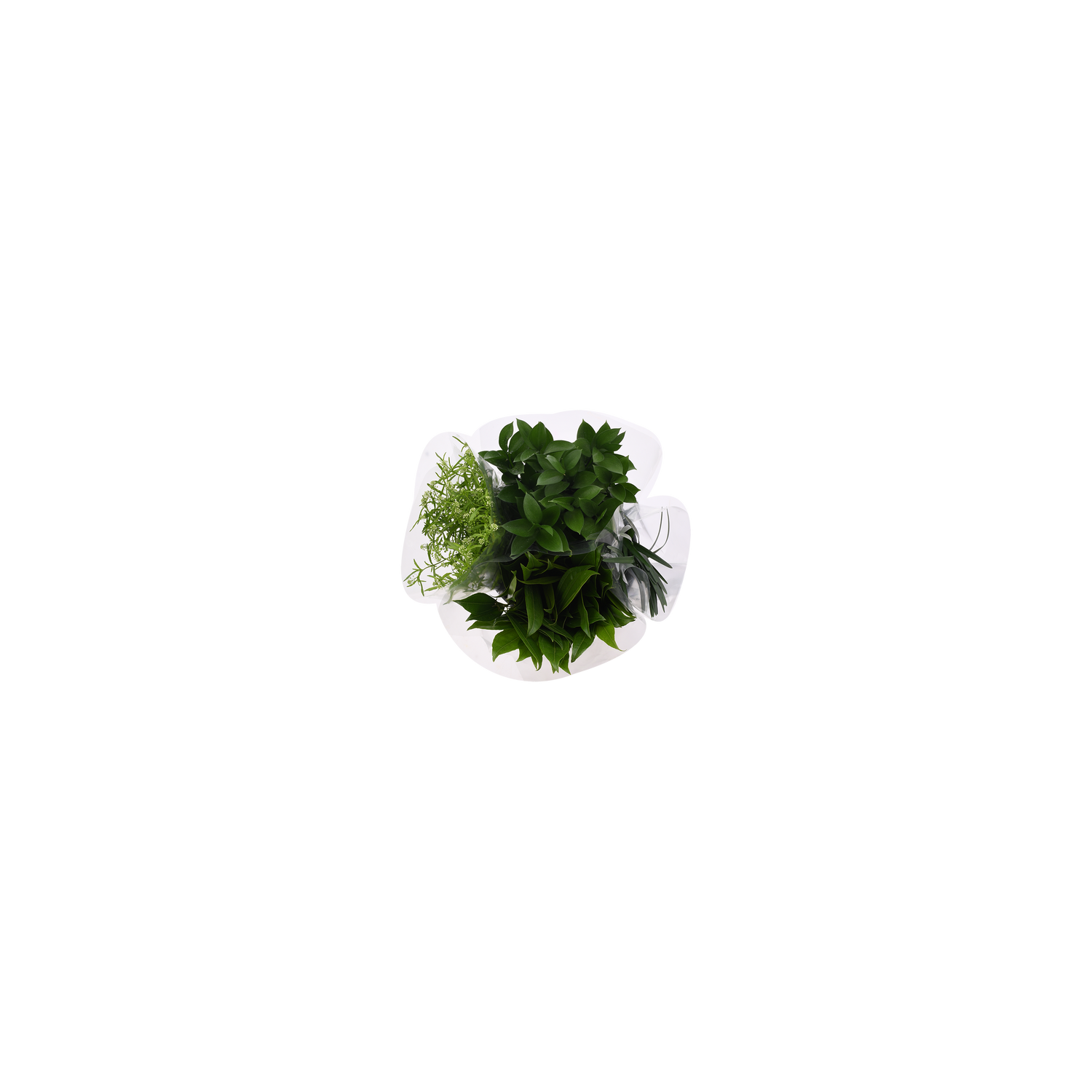 Greens Box - 1 Each
