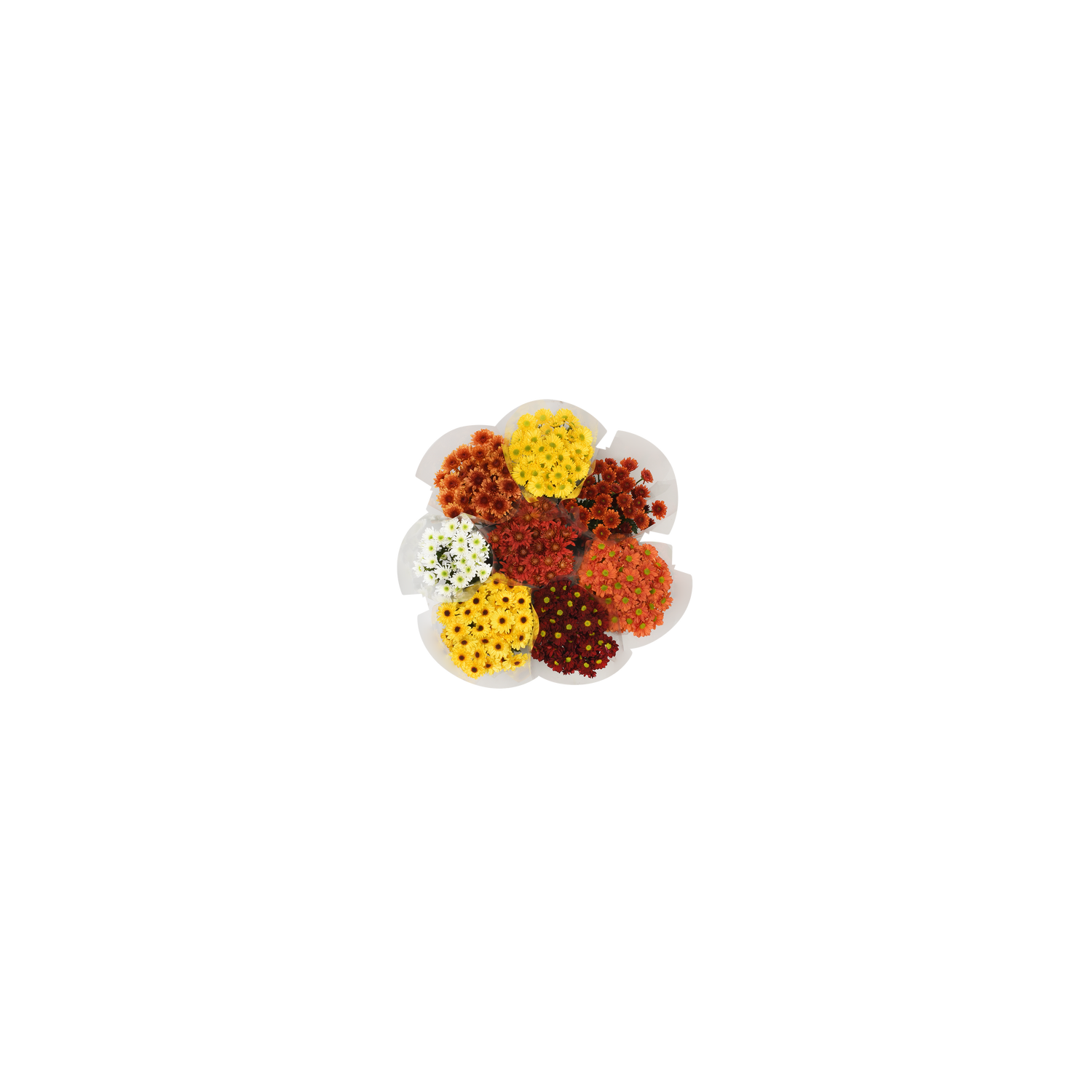 Seasonal Pom Box - 1 Each