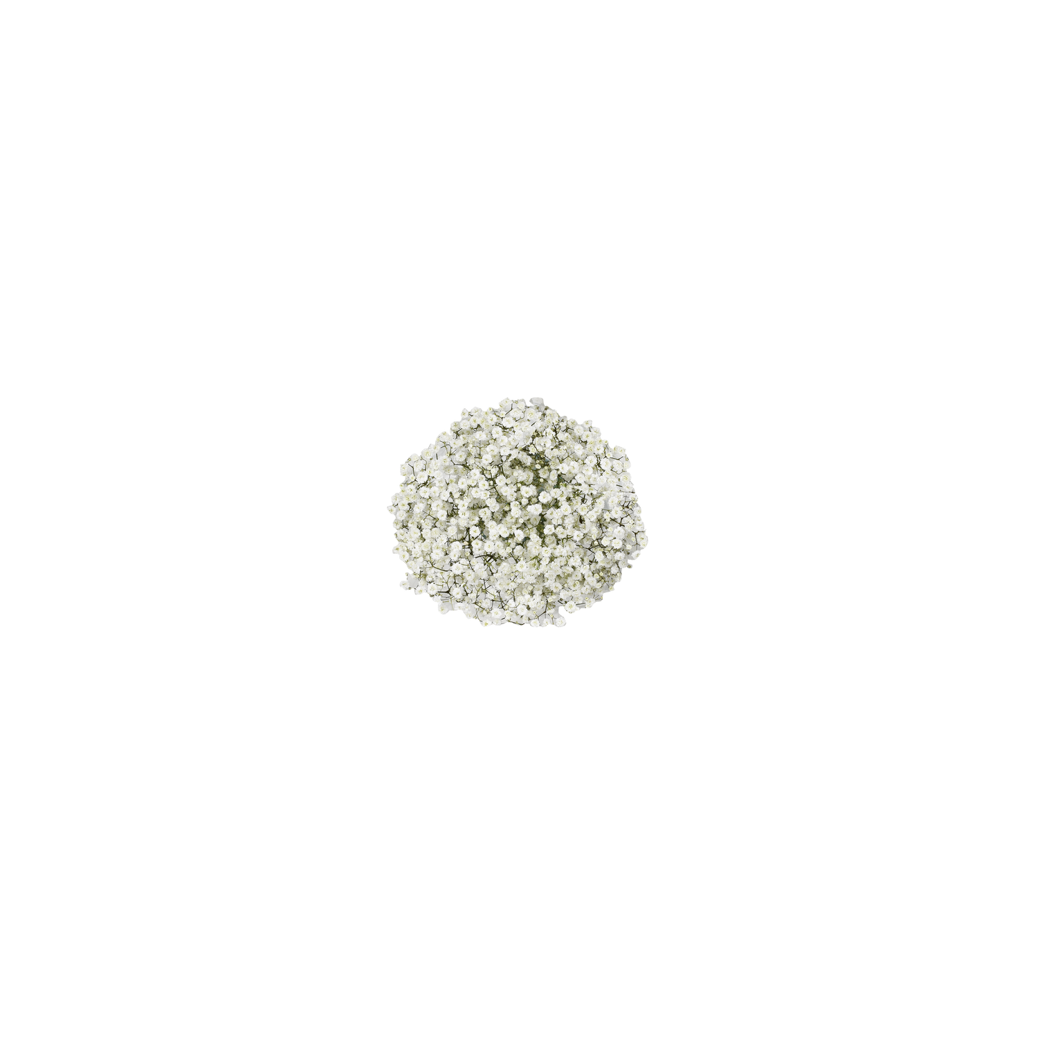 Gypso Box - 1 Each