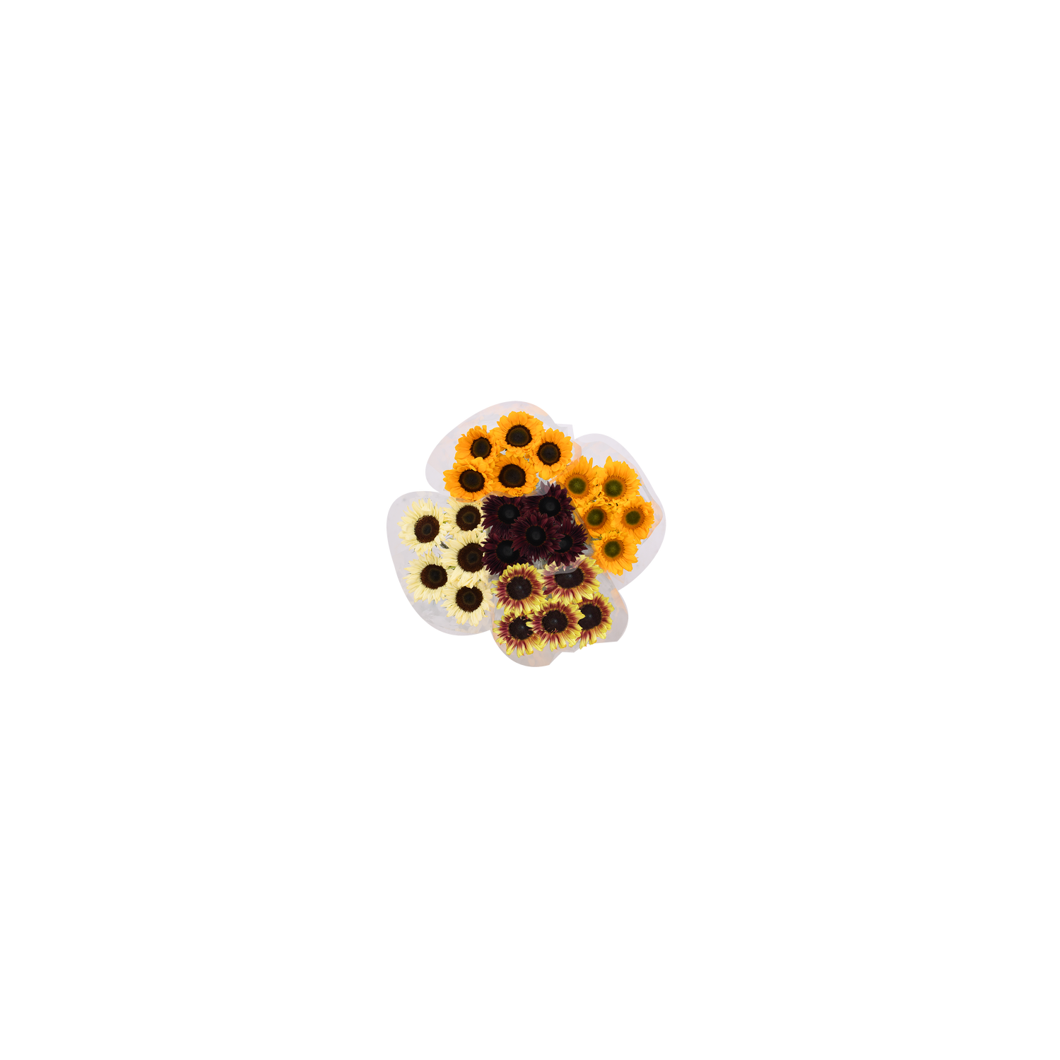 Novelty Sunflower Box - 1 Each
