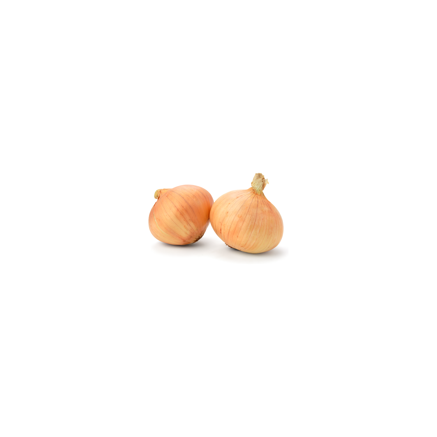 Bagged Yellow Onions - 3 Pound