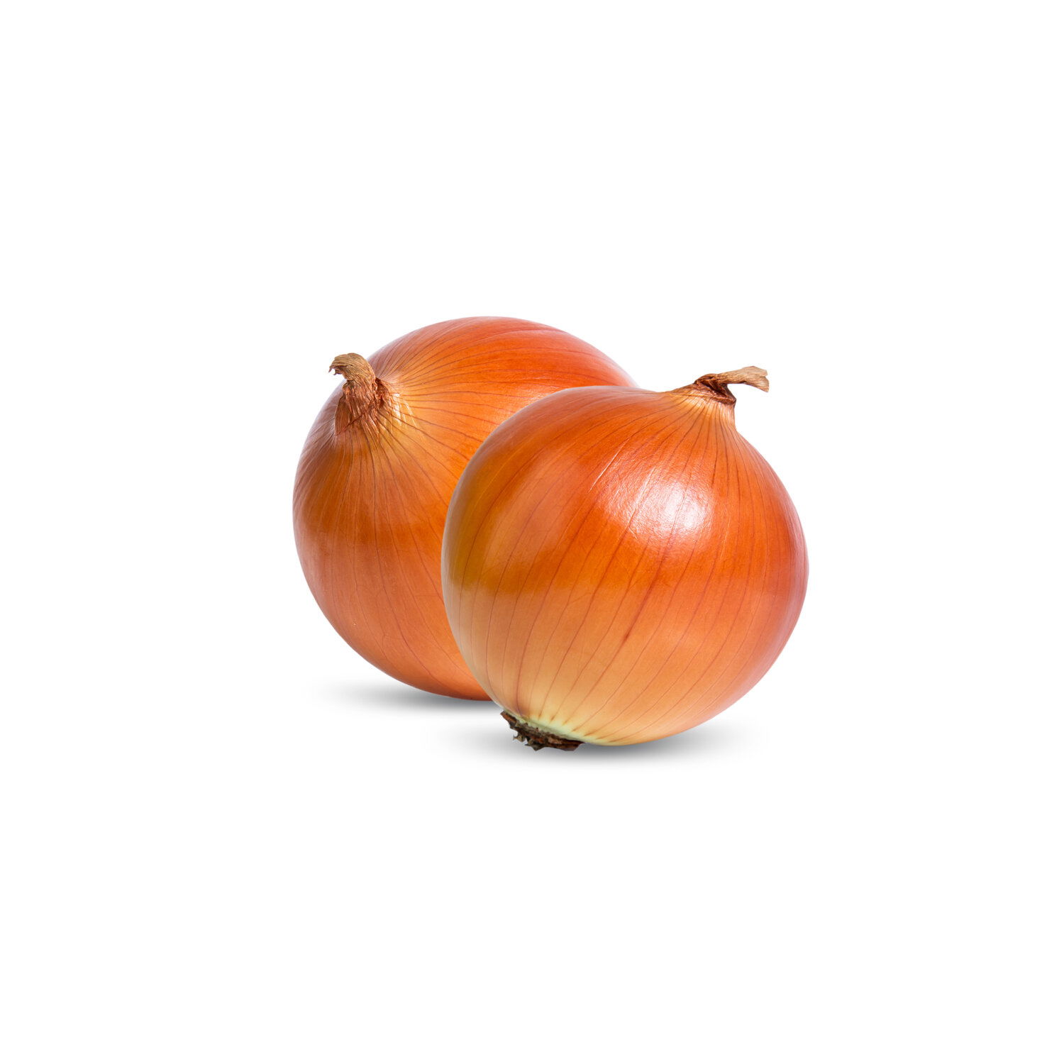 Onions - 2 Pound - Super 1 Foods