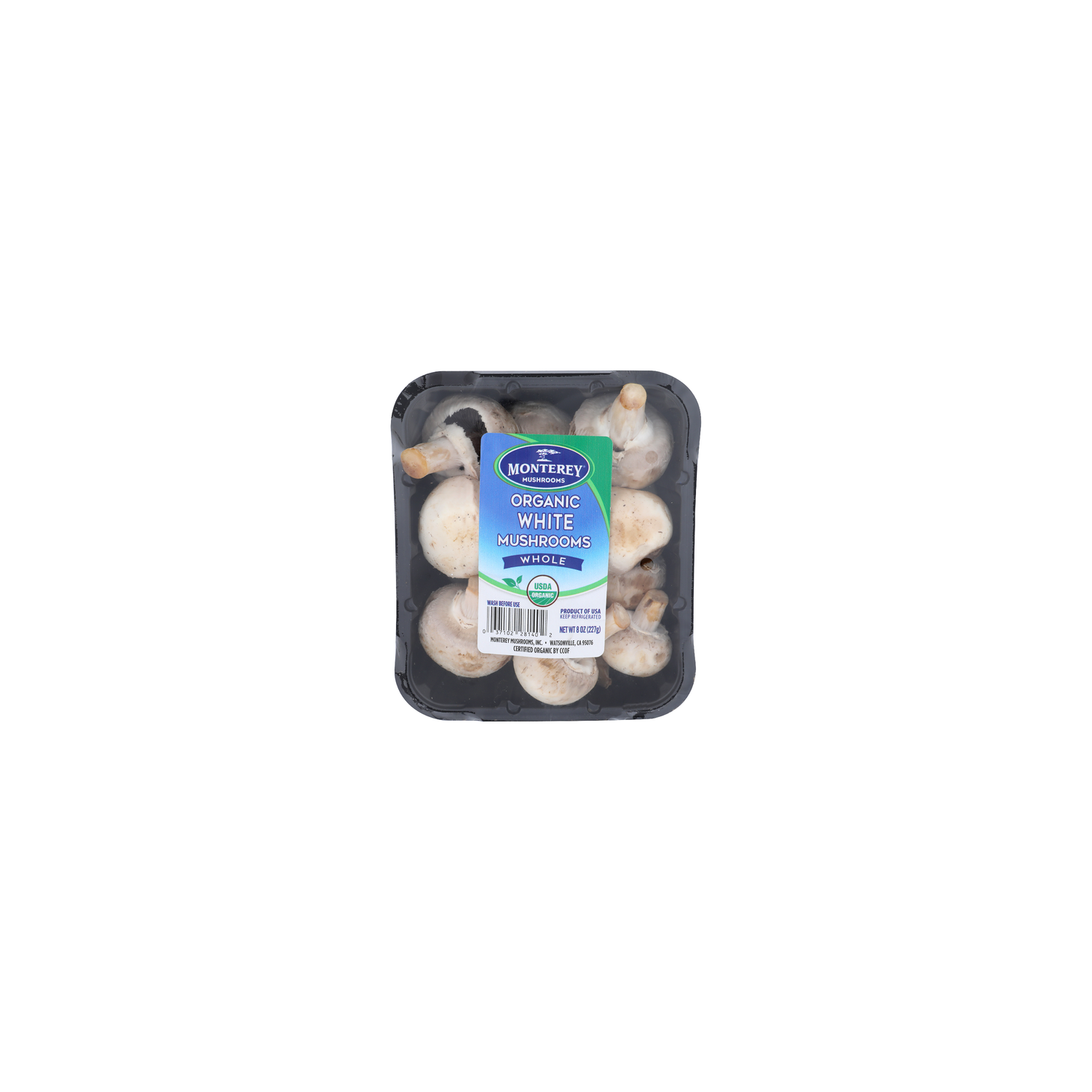 Amazon.com : North Spore Organic Wine Cap Mushroom Sawdust