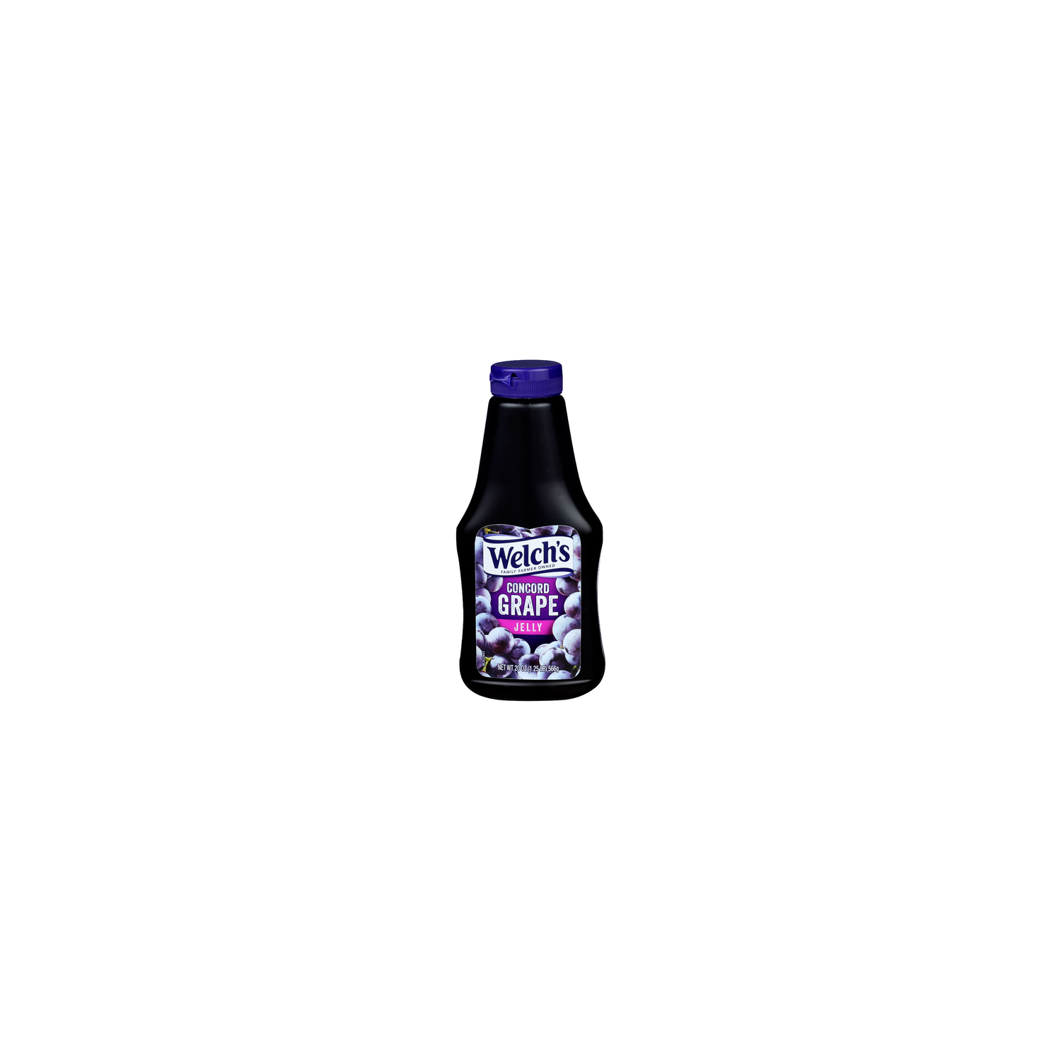 WELCH's Concord Grape Jelly - 20 Ounce Image 1 of 4