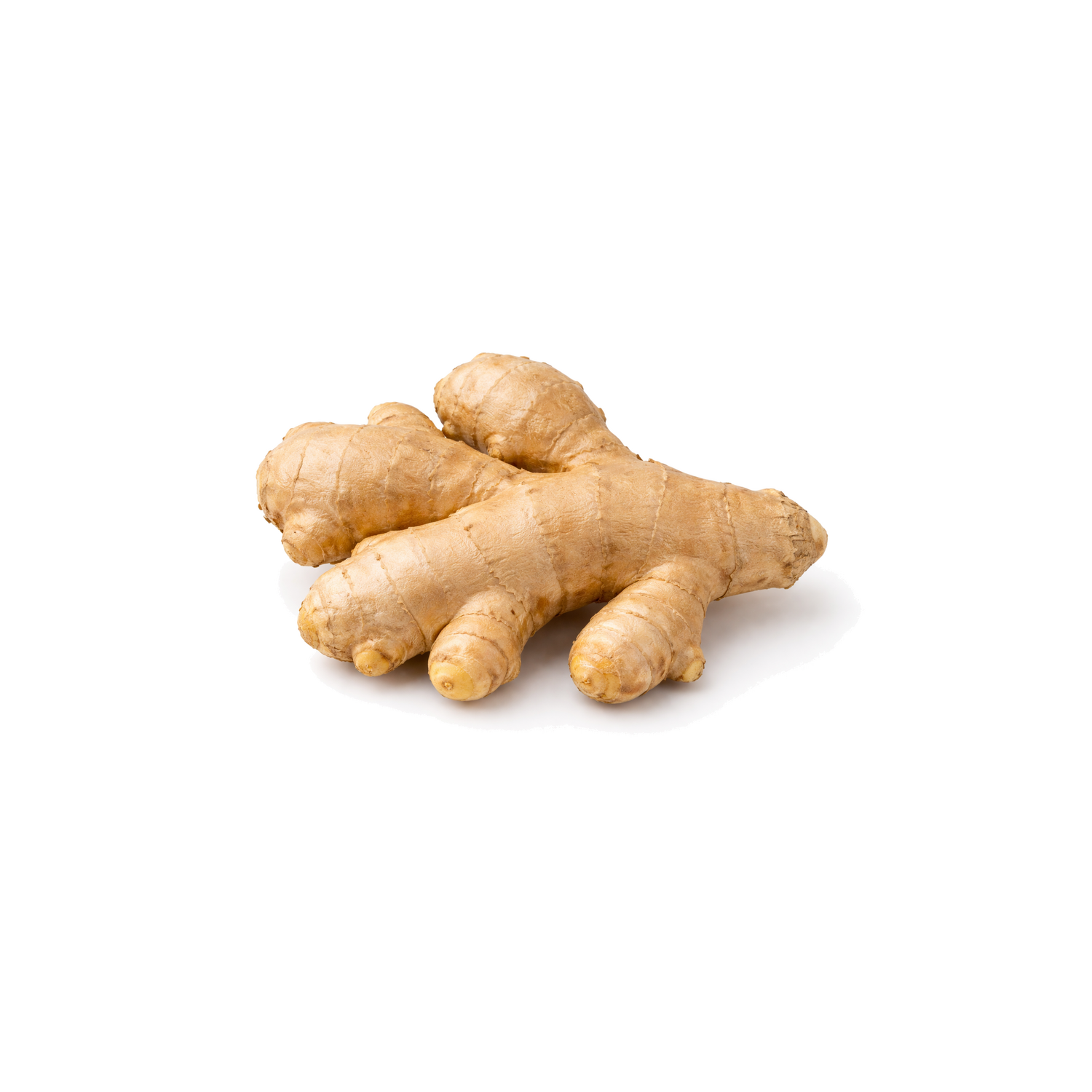  Organic Ginger Root - 1 Each